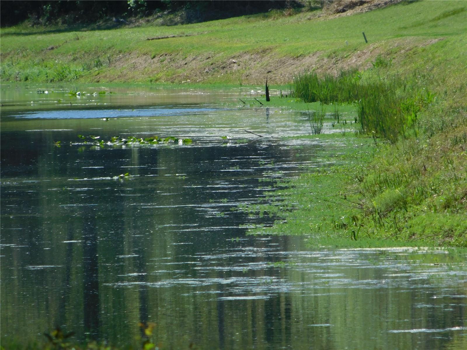 Image 18 of 27 For 10505 Deep Creek Boulevard