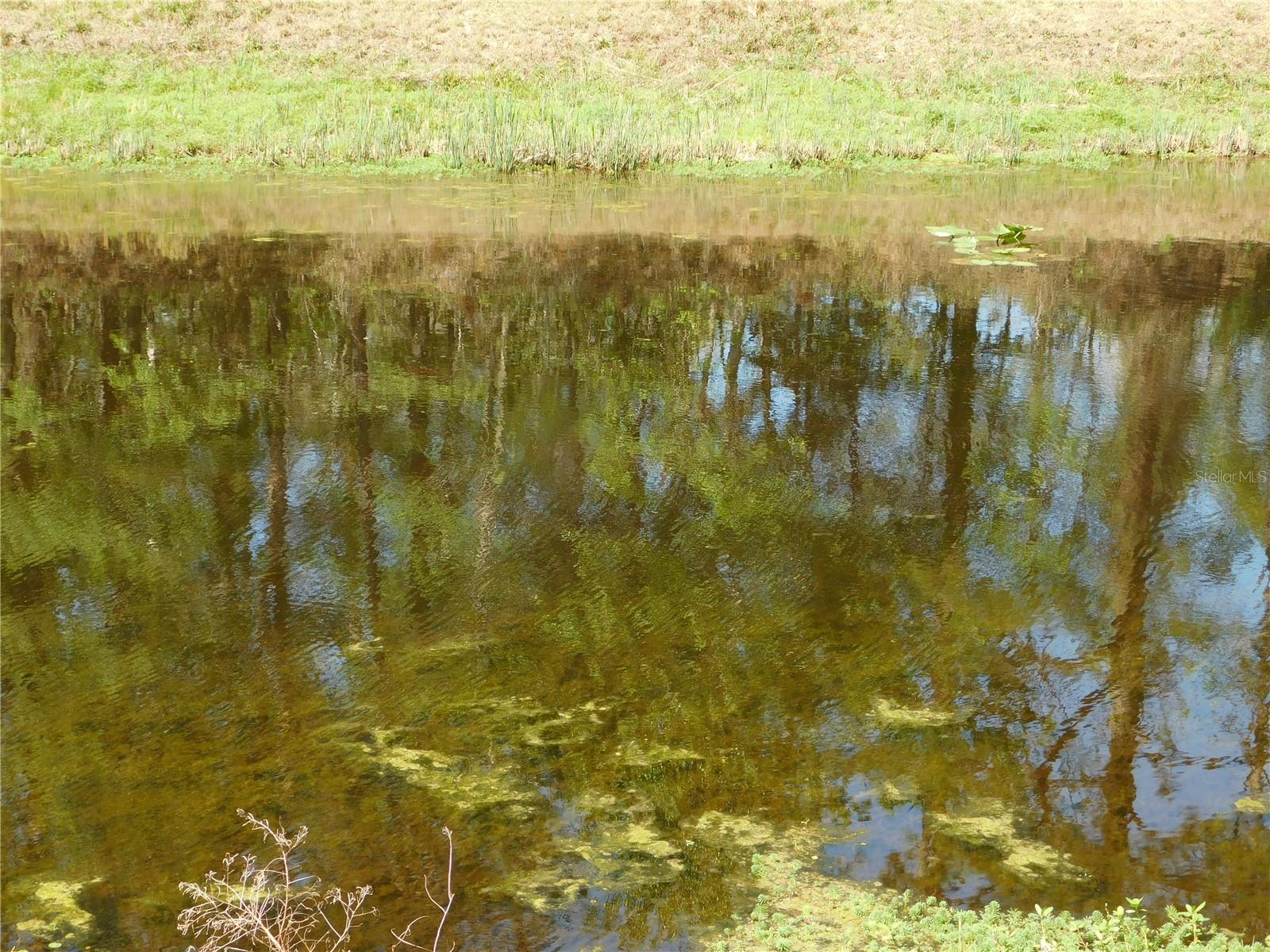 Image 20 of 27 For 10505 Deep Creek Boulevard