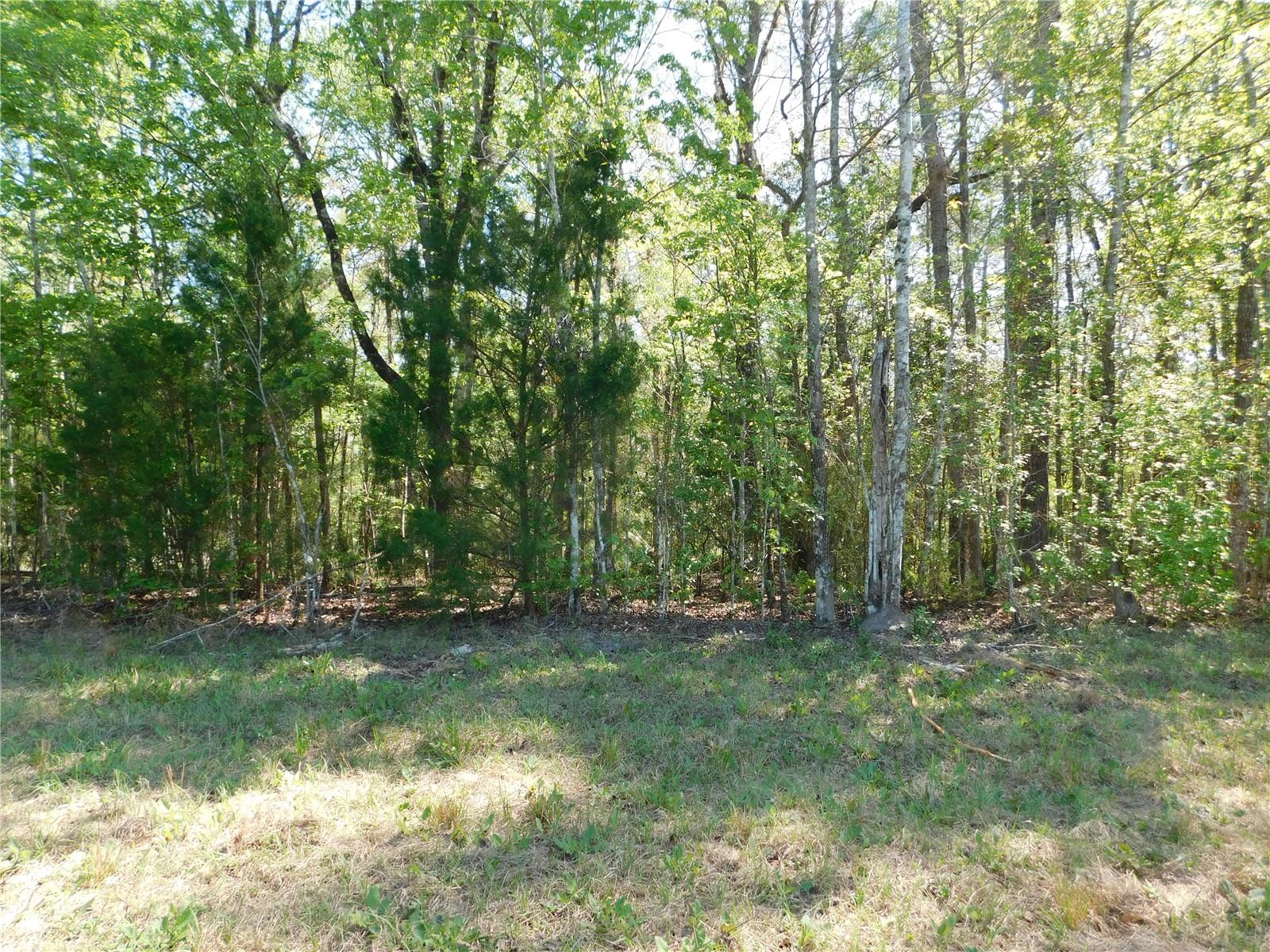 Image 21 of 27 For 10505 Deep Creek Boulevard