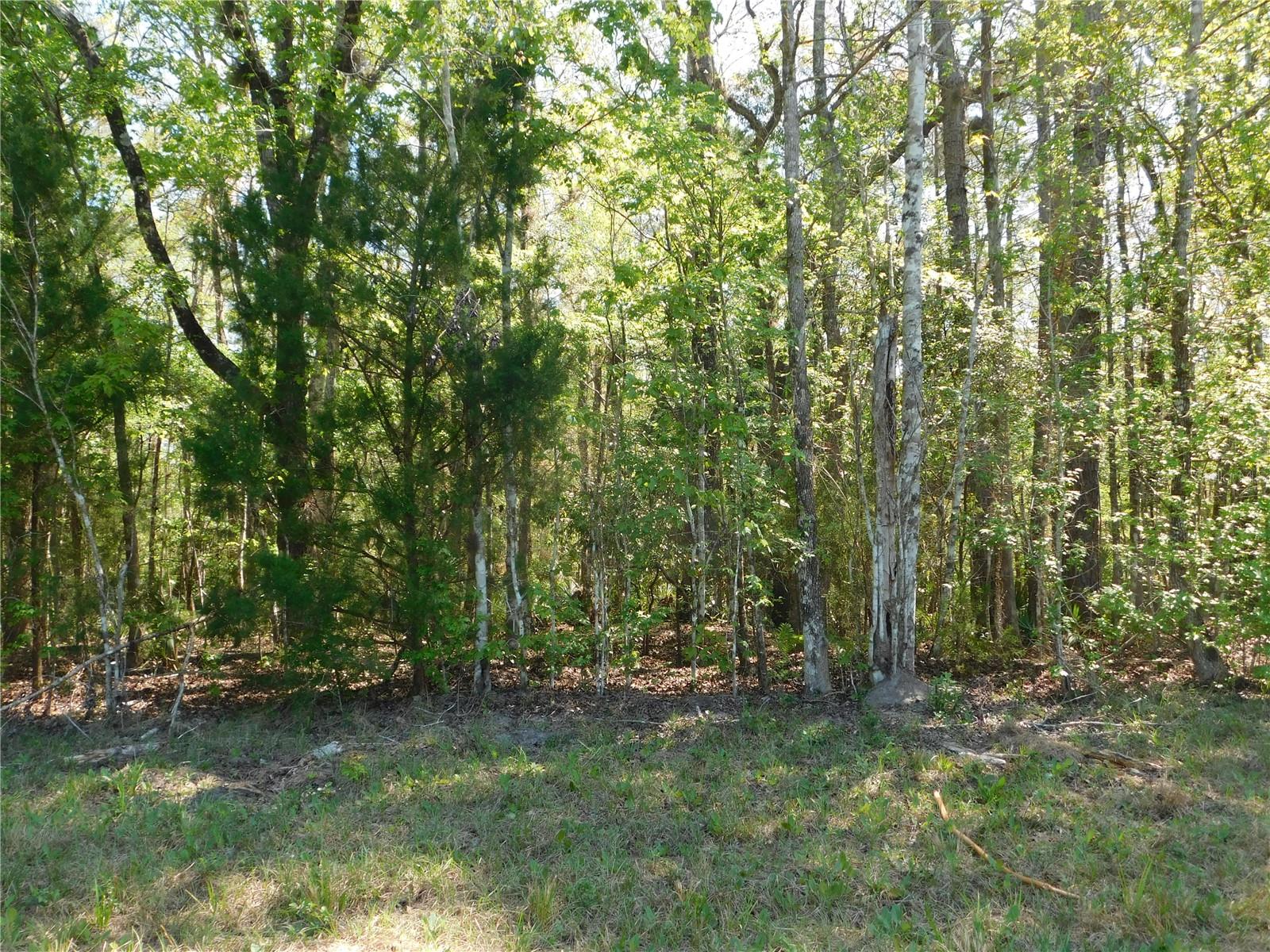 Image 25 of 27 For 10505 Deep Creek Boulevard