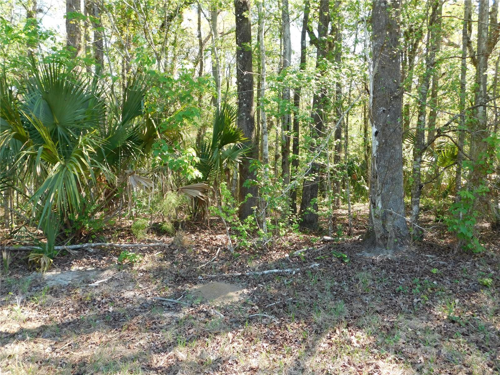 Image 26 of 27 For 10505 Deep Creek Boulevard