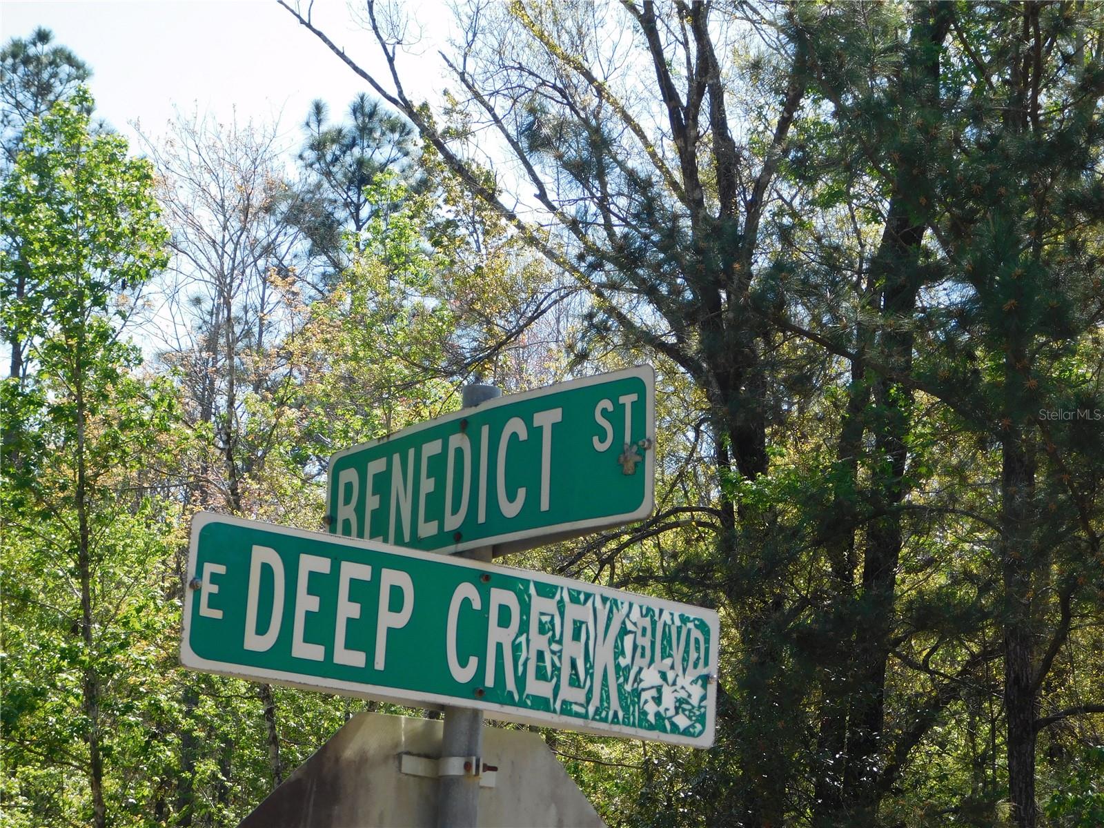 Image 6 of 27 For 10505 Deep Creek Boulevard