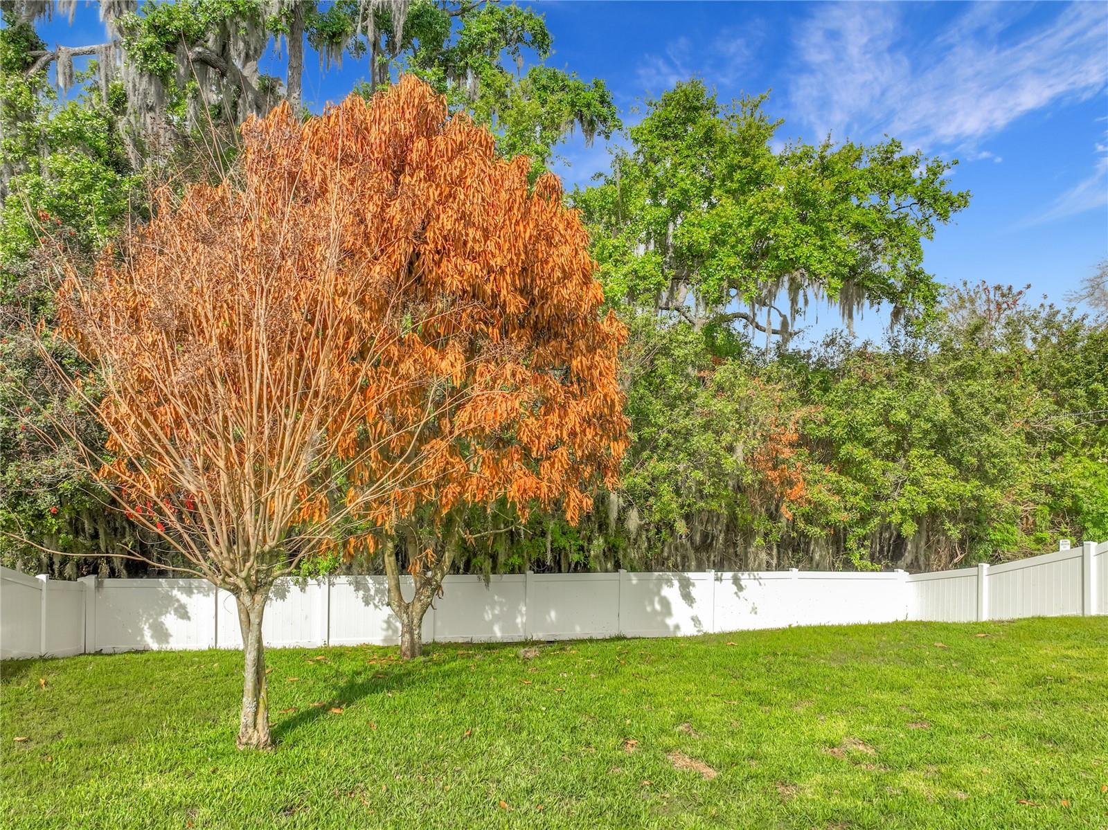 Image 74 of 90 For 4791 Riverwalk Drive