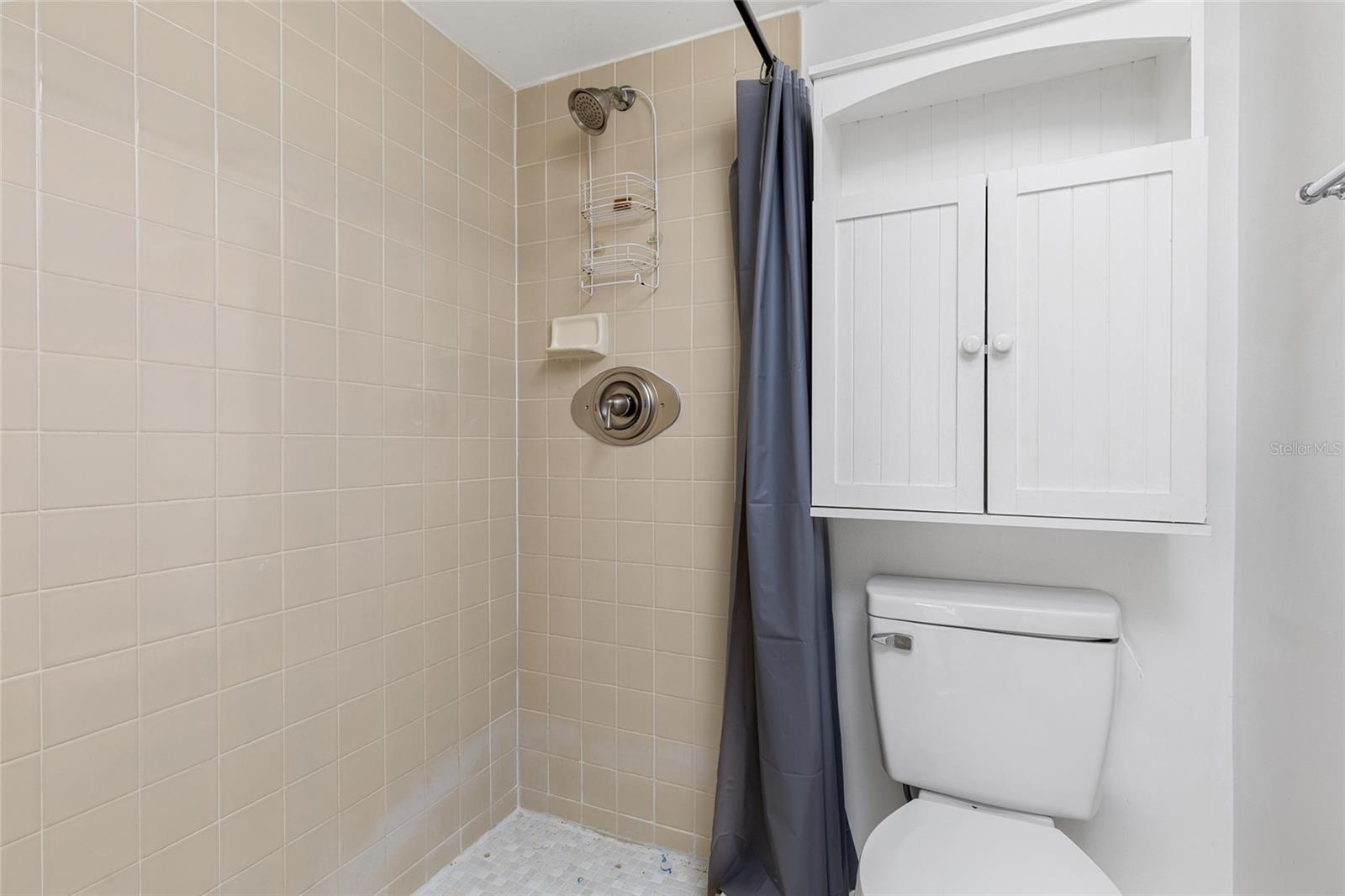 Image 22 of 42 For 1064 Lotus Parkway 941