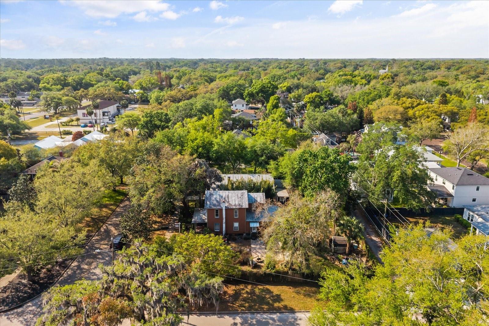 Image 16 of 19 For 802 Palmetto Avenue