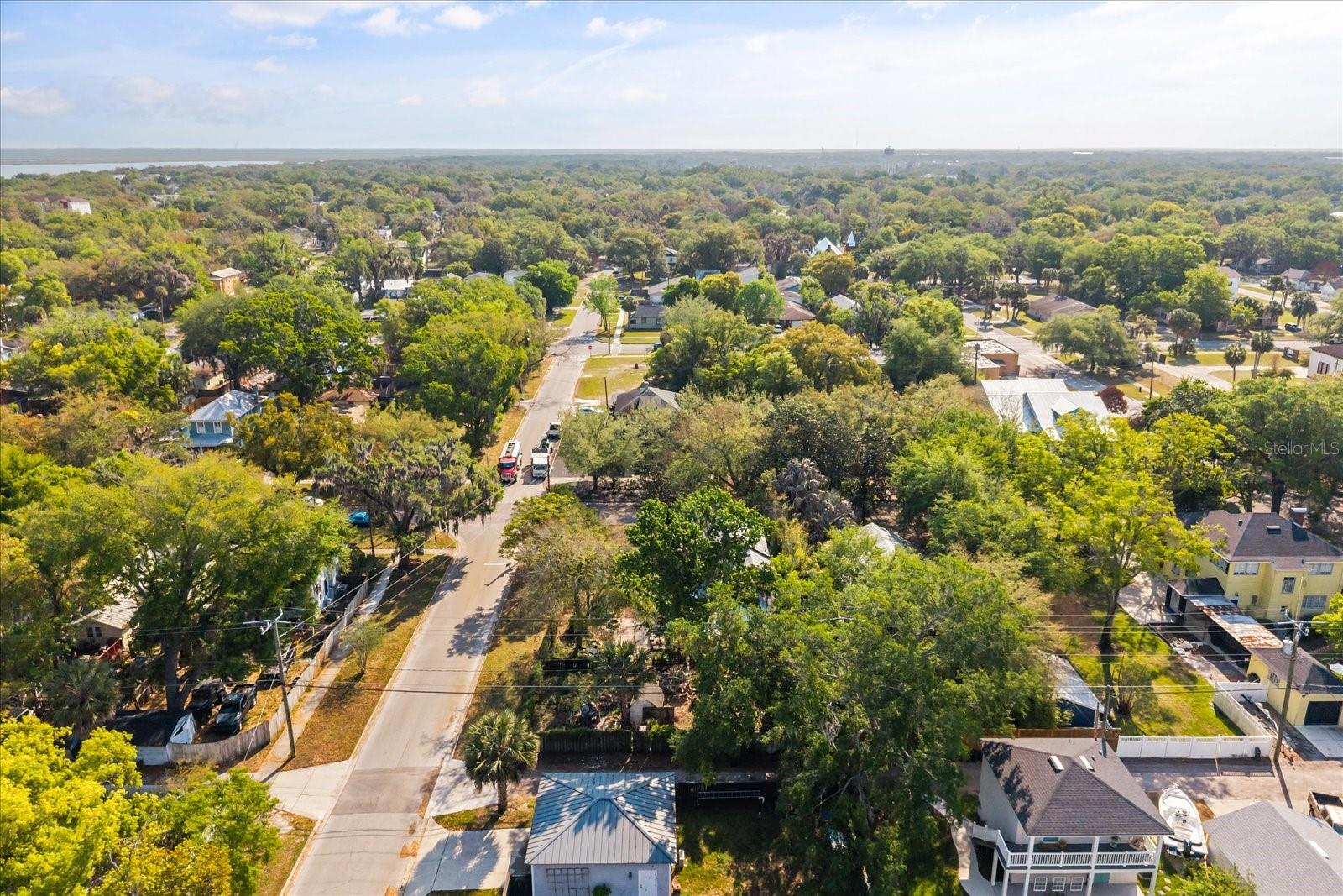 Image 18 of 19 For 802 Palmetto Avenue