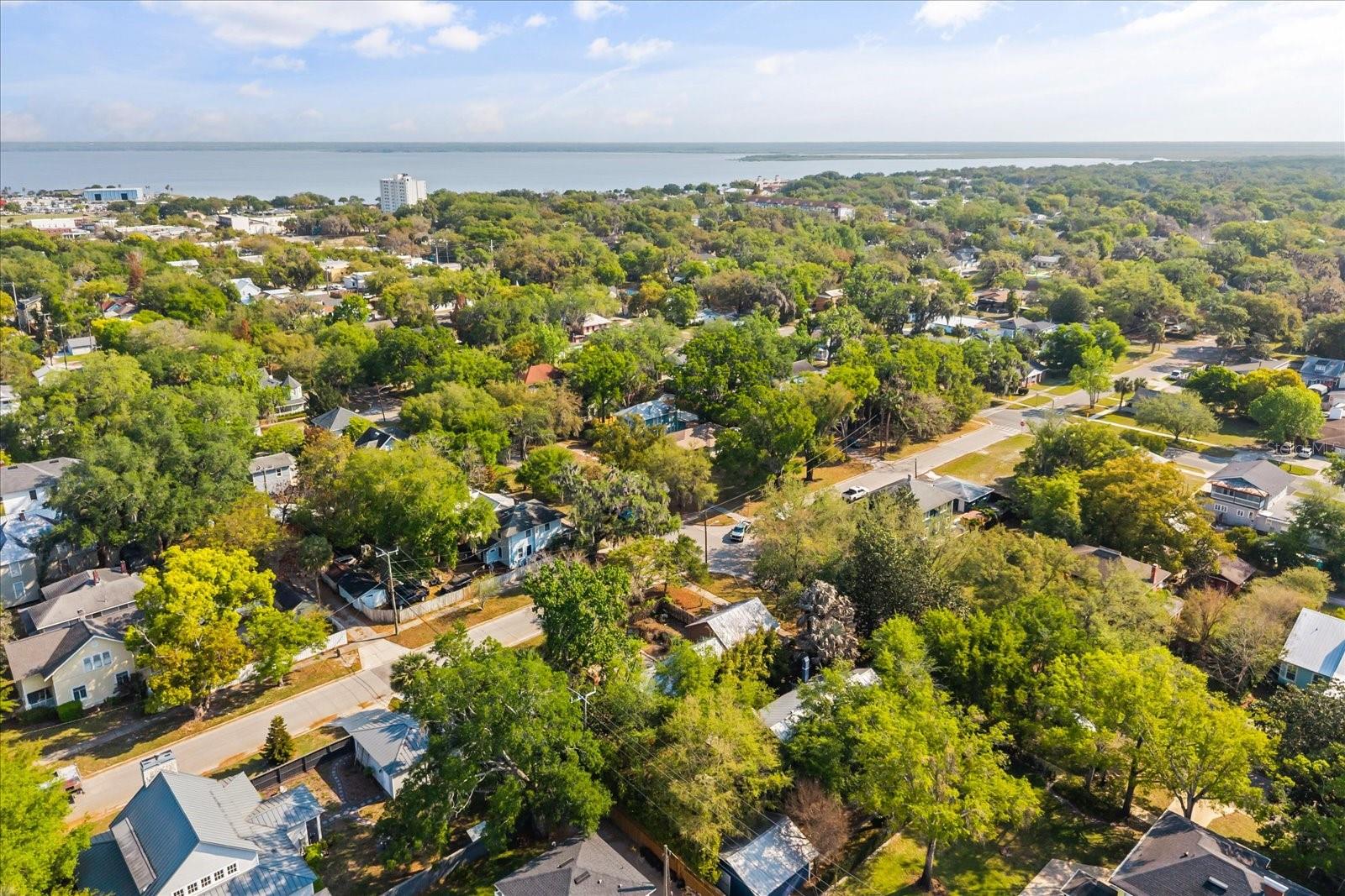 Image 19 of 19 For 802 Palmetto Avenue