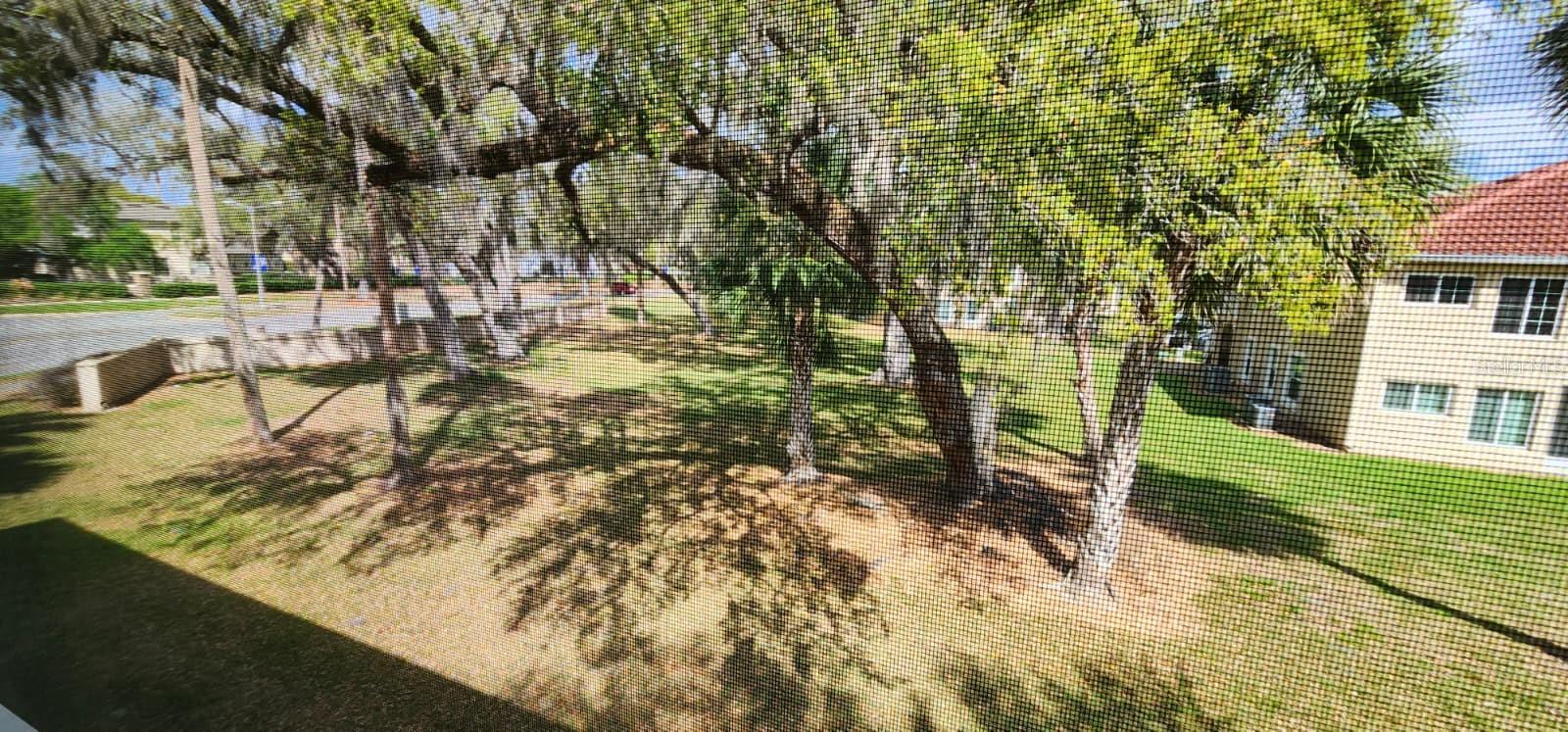 Image 23 of 28 For 2860 Osprey Cove Place 202