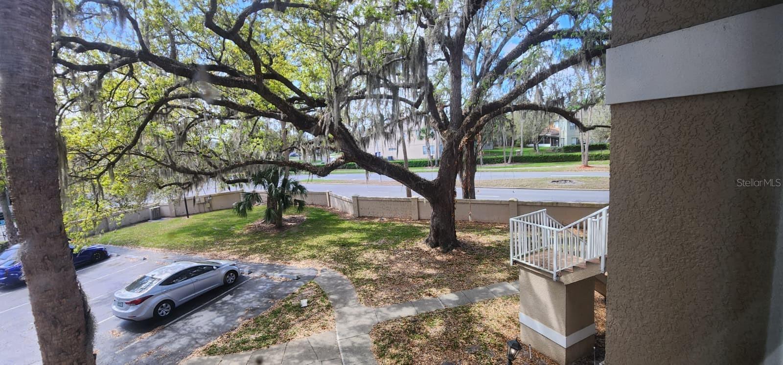 Image 28 of 28 For 2860 Osprey Cove Place 202