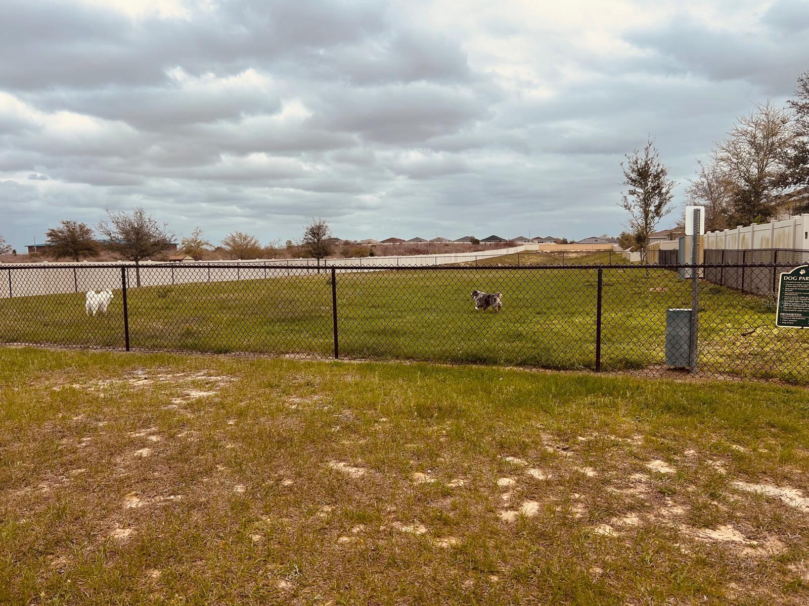 Image 42 of 44 For 1362 Lassen Street