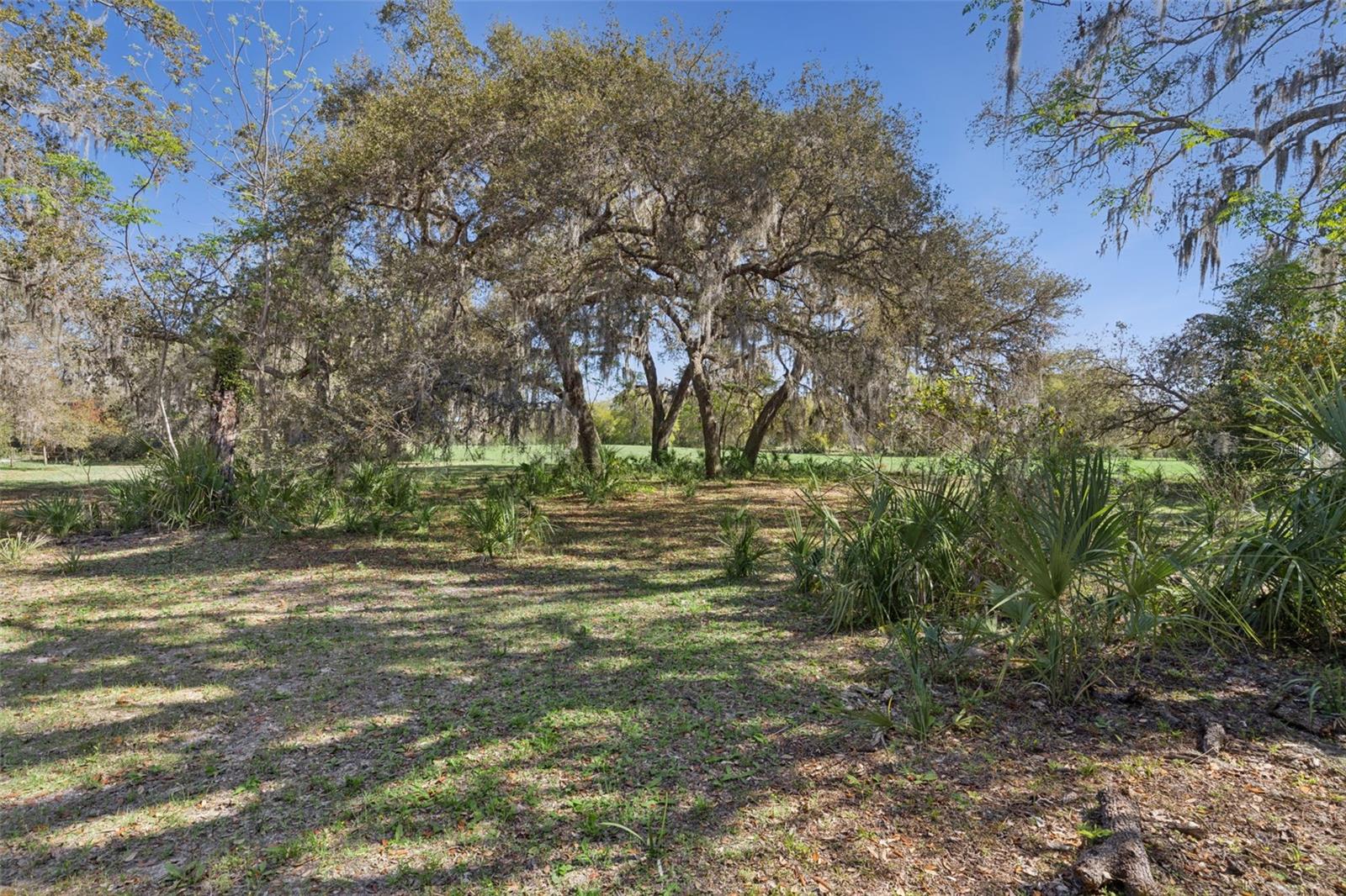 Image 6 of 19 For Lot 3 Oak Hollow