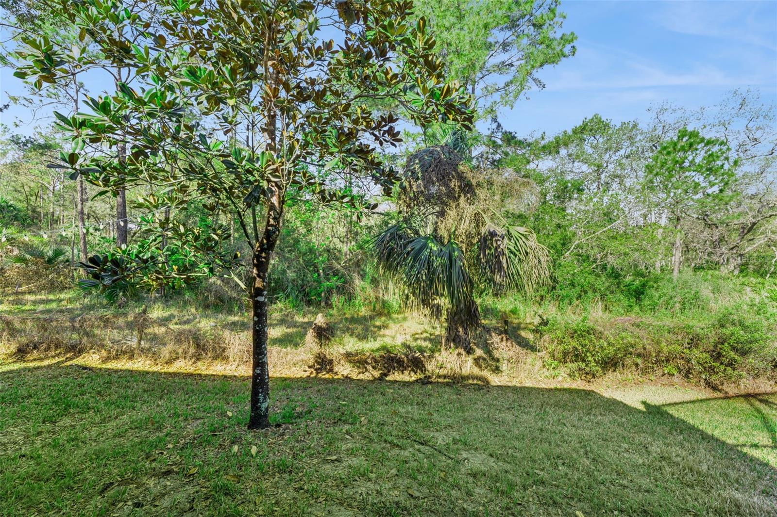 Image 41 of 49 For 814 Miami Springs Drive