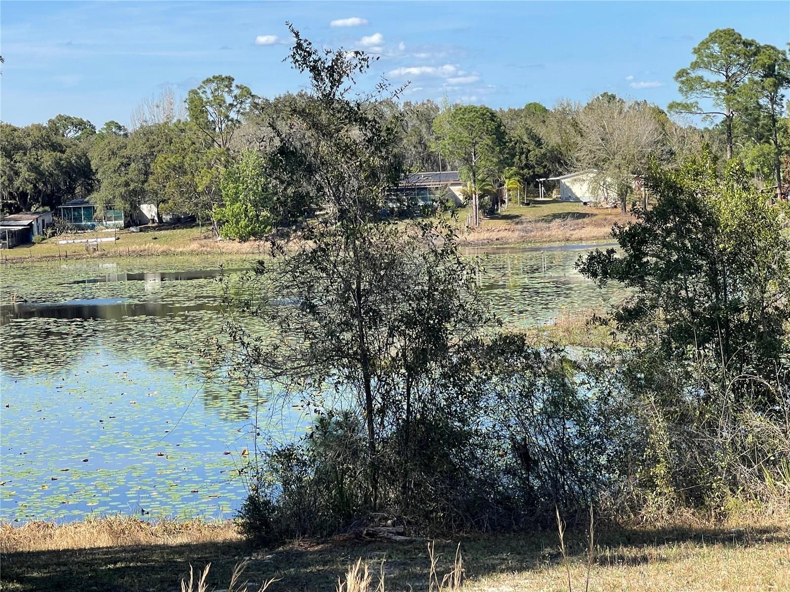 Image 22 of 26 For 31725 Spruce Drive