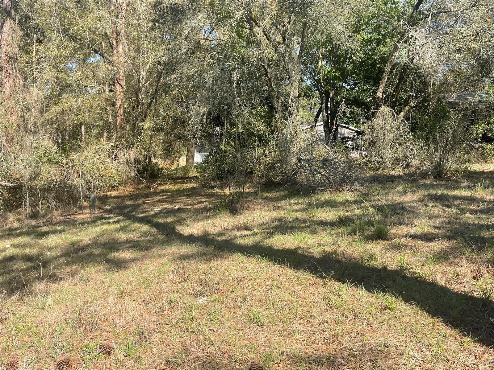 Image 23 of 26 For 31725 Spruce Drive