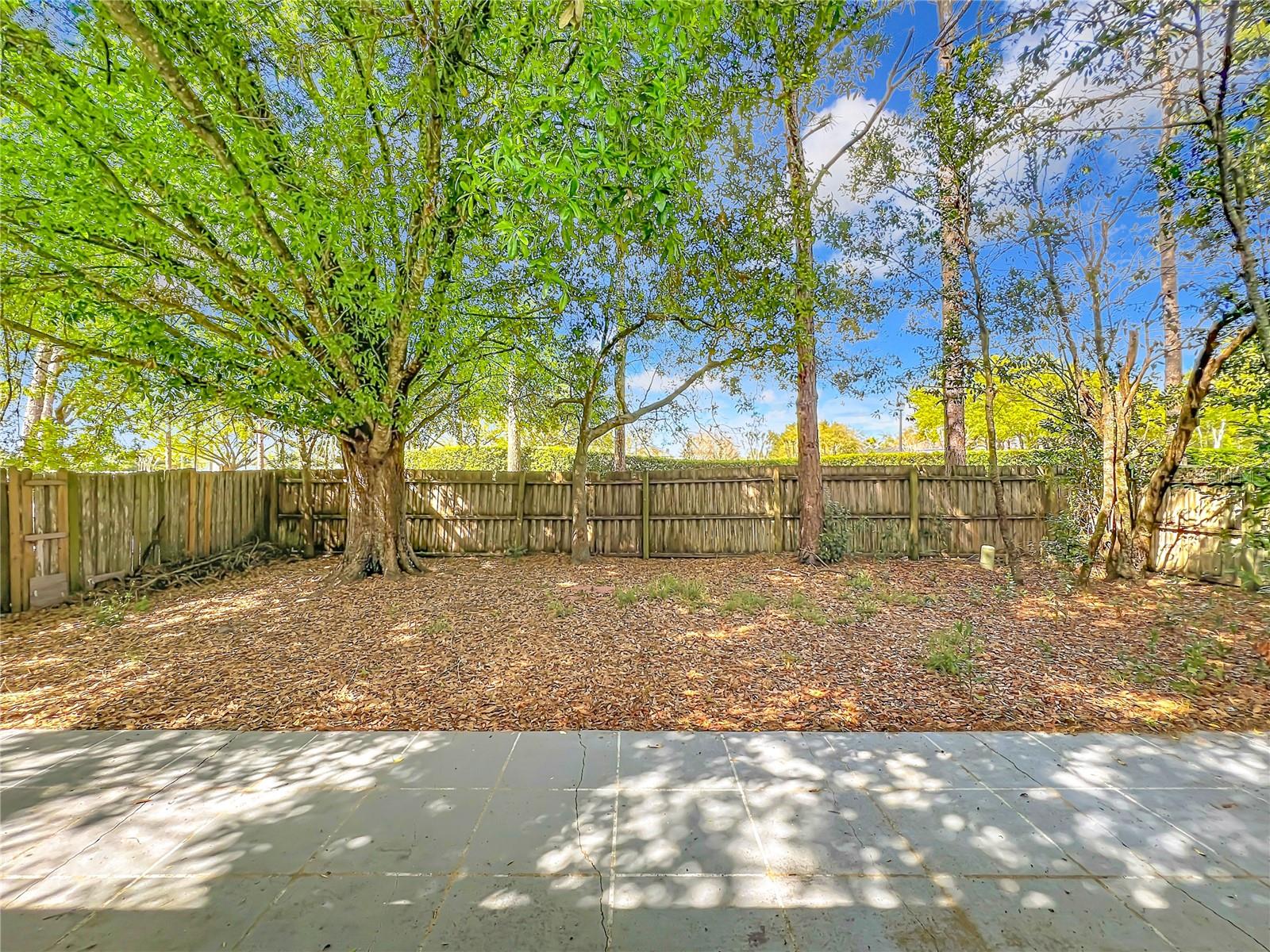 Listing photo id 6 for 14504 Lycastle Circle