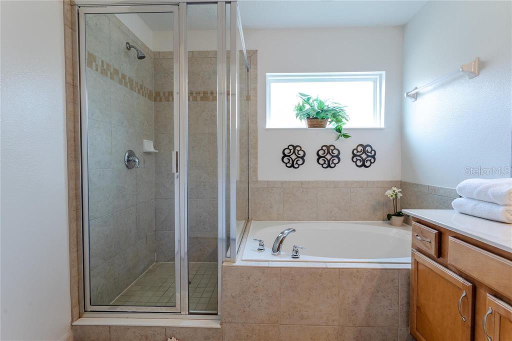 Image 43 of 67 For 446 Orange Cosmos Boulevard