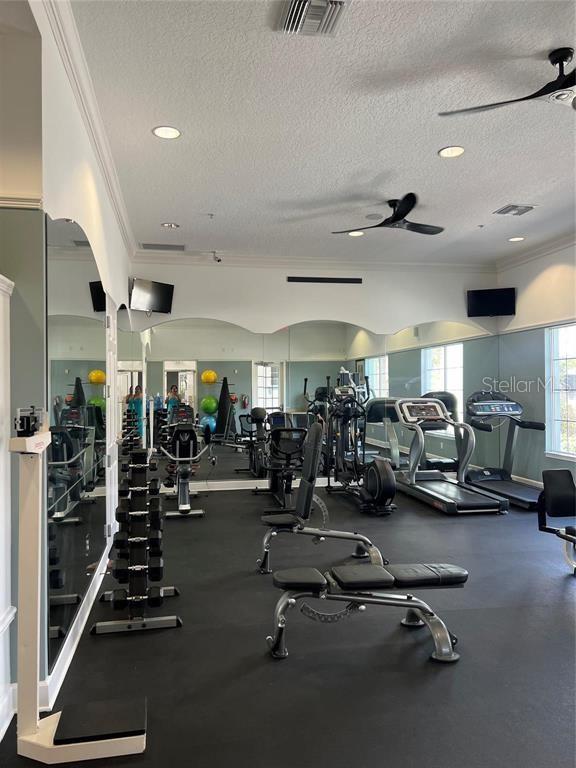 Image 63 of 67 For 446 Orange Cosmos Boulevard