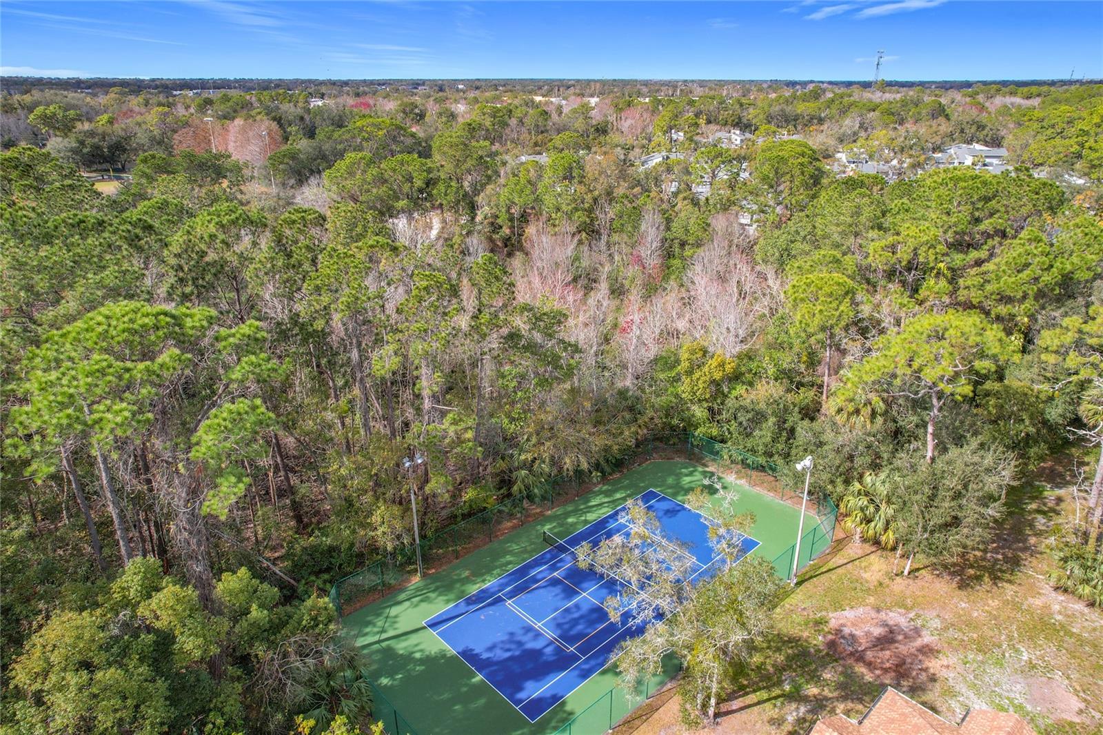 Image 79 of 87 For 665 Youngstown Parkway 264