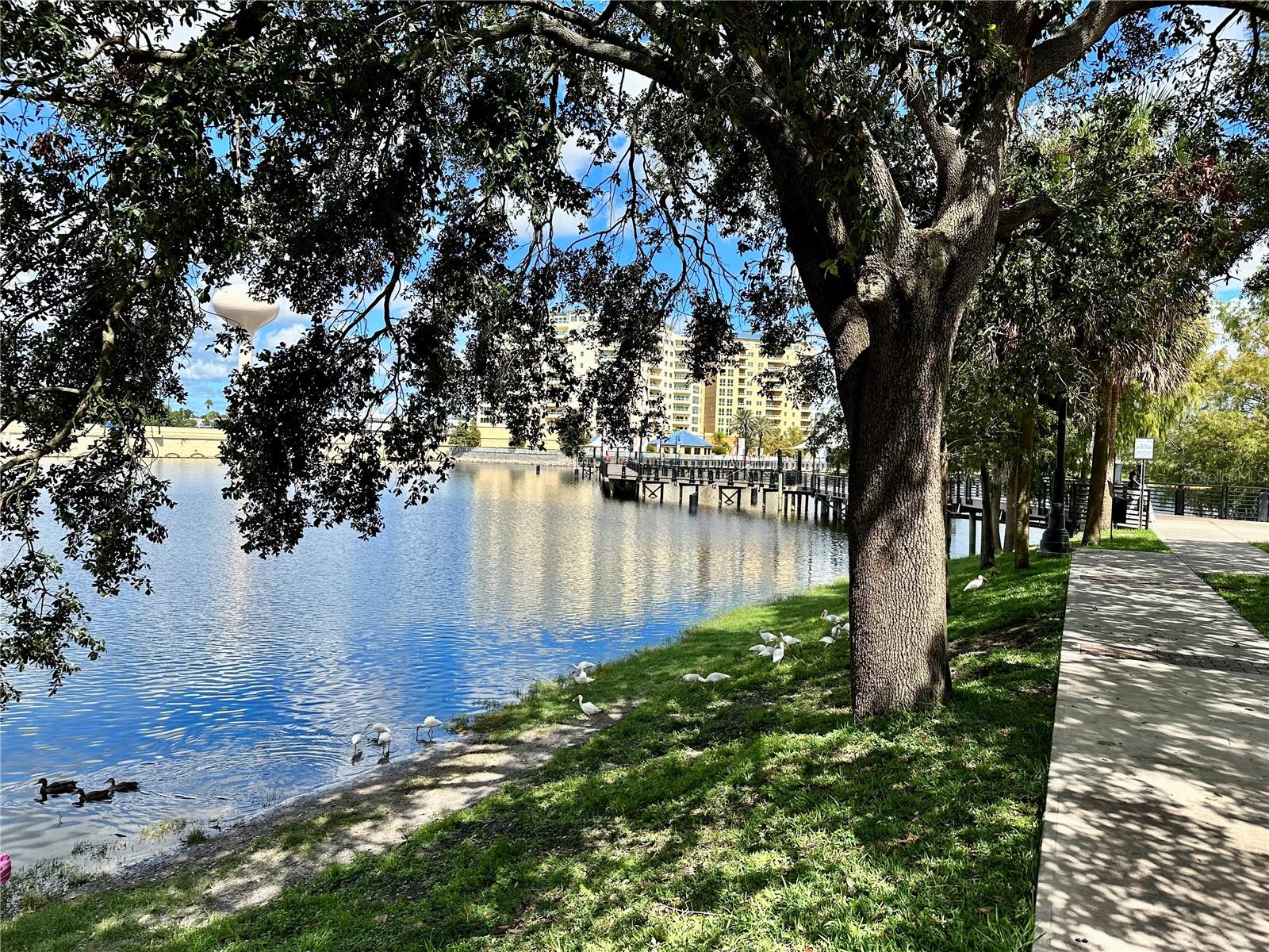 Image 12 of 22 For 123 Blue Point Way 110