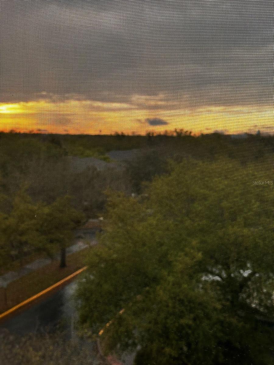 Image 11 of 15 For 2484 San Tecla Street 403