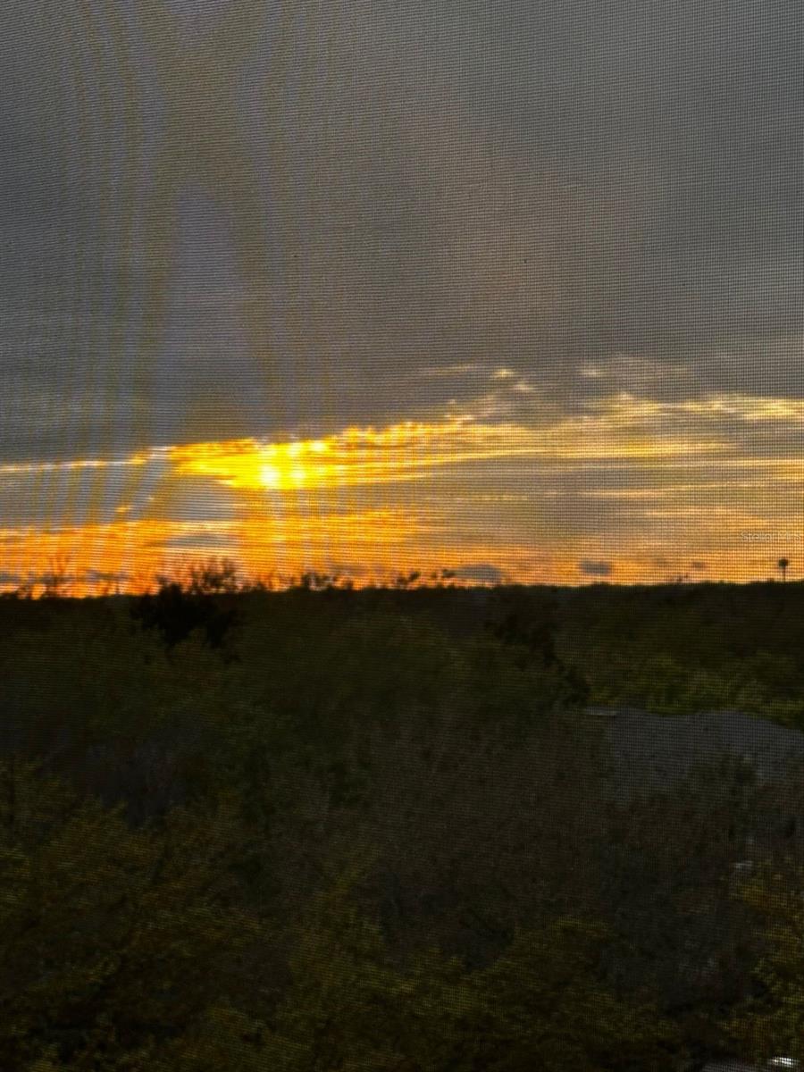 Image 14 of 15 For 2484 San Tecla Street 403