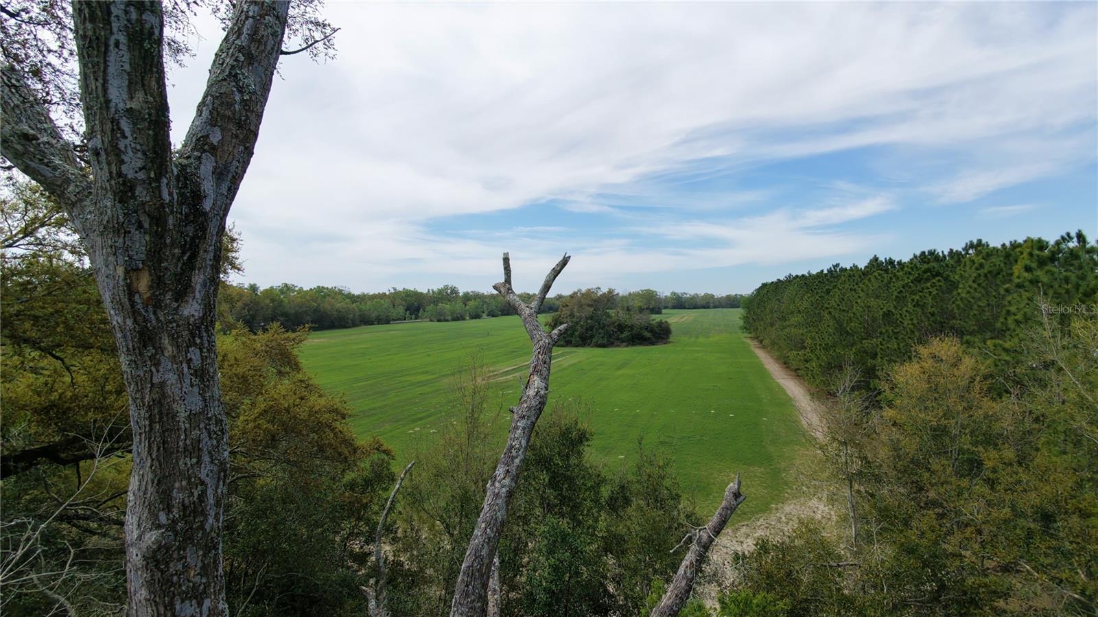 Image 2 of 6 For Sw Cr 344