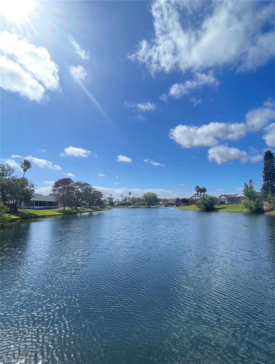 Image 28 of 35 For 12203 Wild Iris Way  112