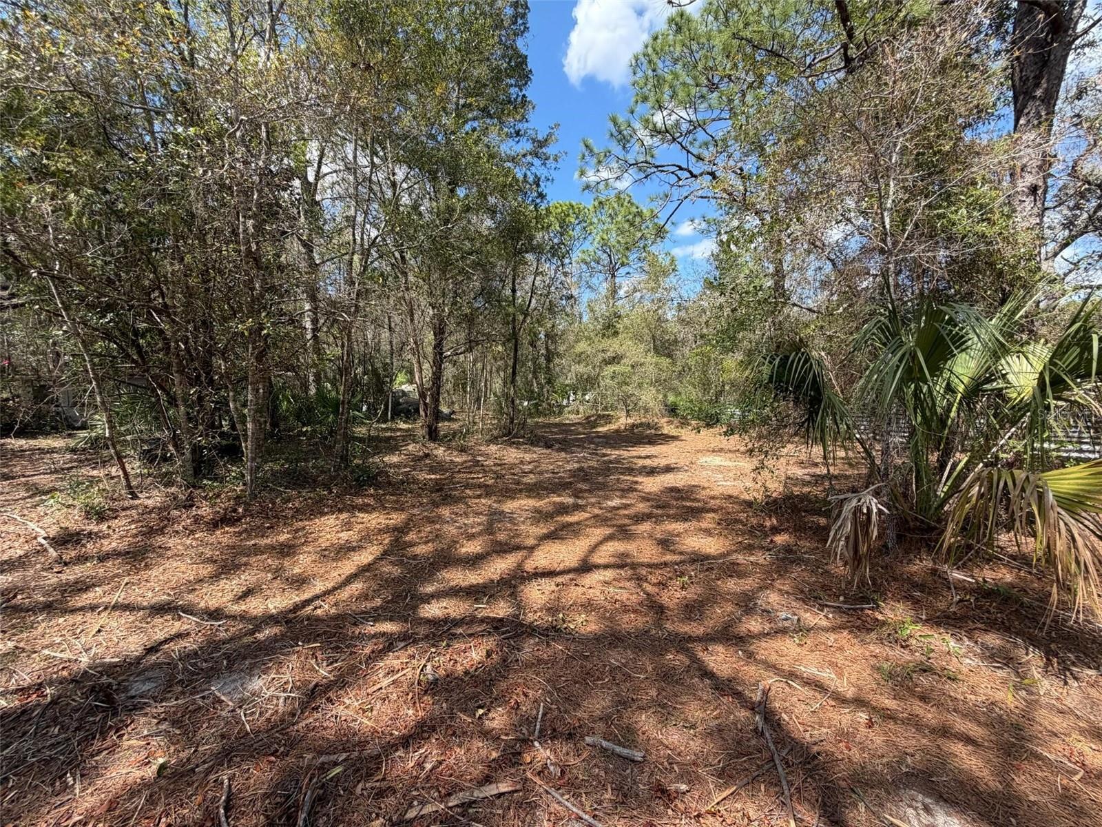 Image 2 of 10 For 980 Conant Avenue