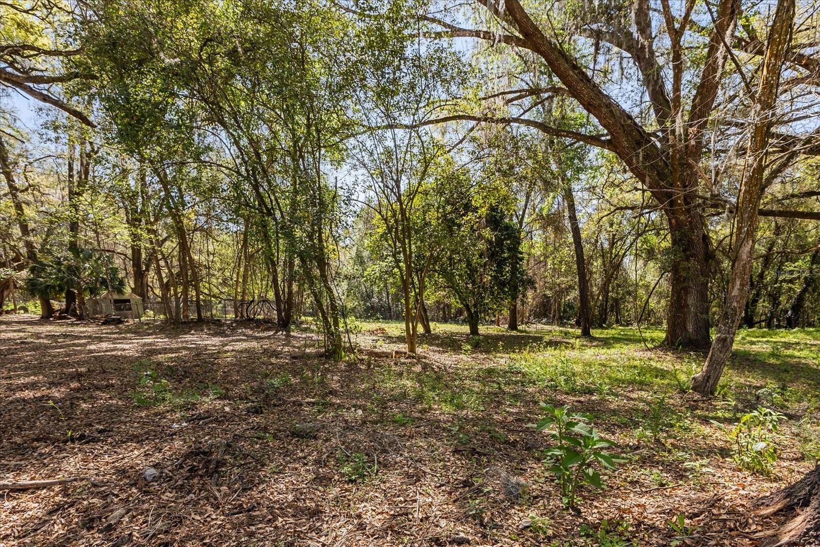 Image 42 of 48 For 421 137th Avenue