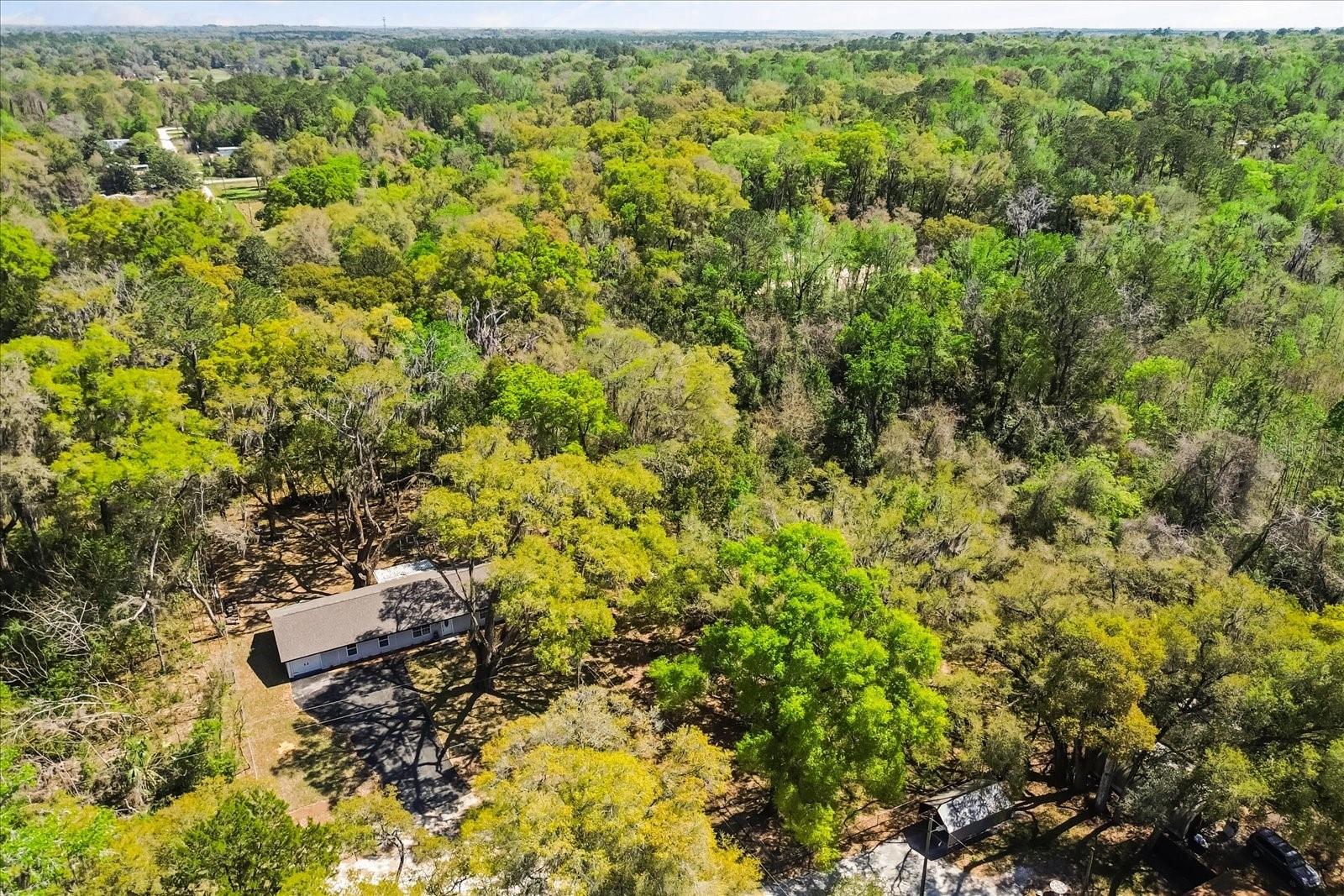 Image 46 of 48 For 421 137th Avenue