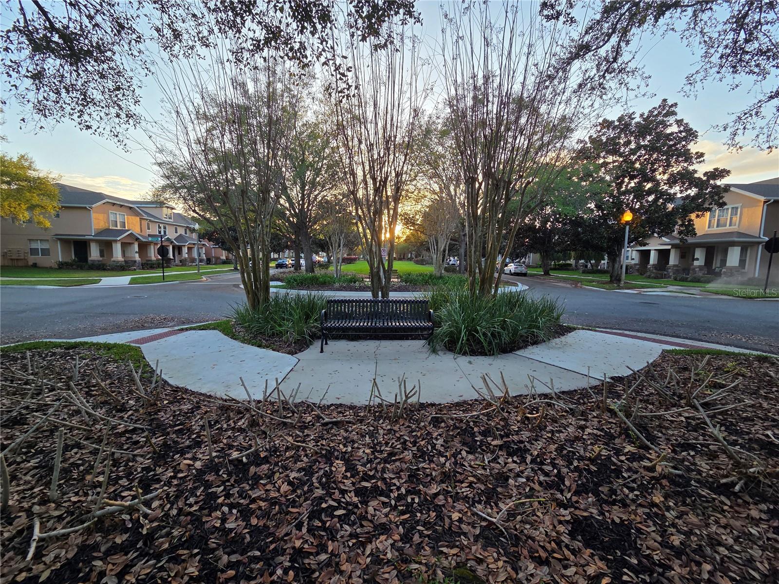 Image 15 of 54 For 14239 Avenue Of The Groves