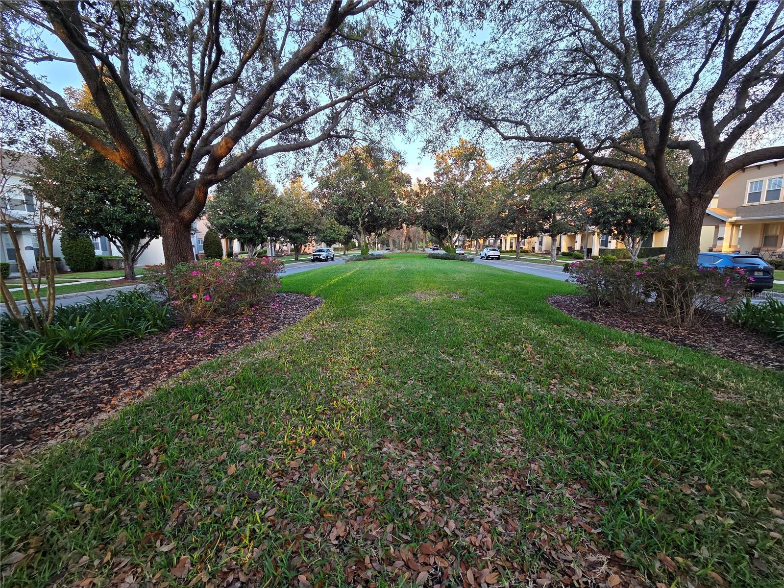 Image 2 of 54 For 14239 Avenue Of The Groves