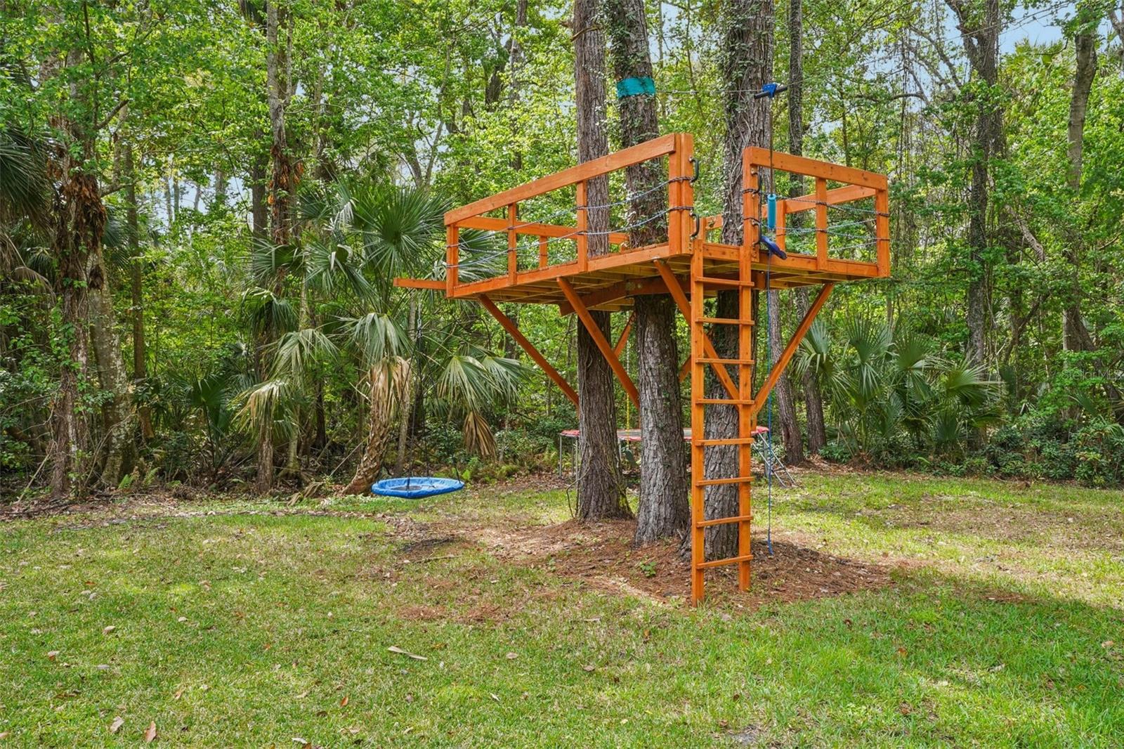 Image 50 of 72 For 113 Wisteria Drive