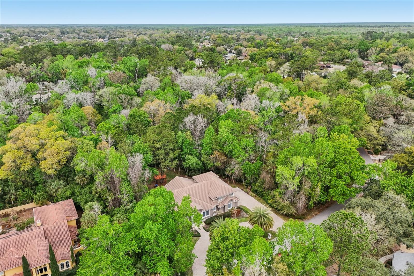 Image 66 of 72 For 113 Wisteria Drive