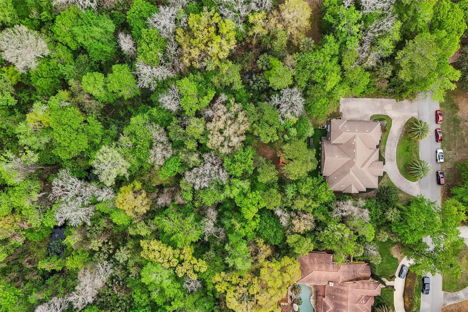 Image 69 of 72 For 113 Wisteria Drive