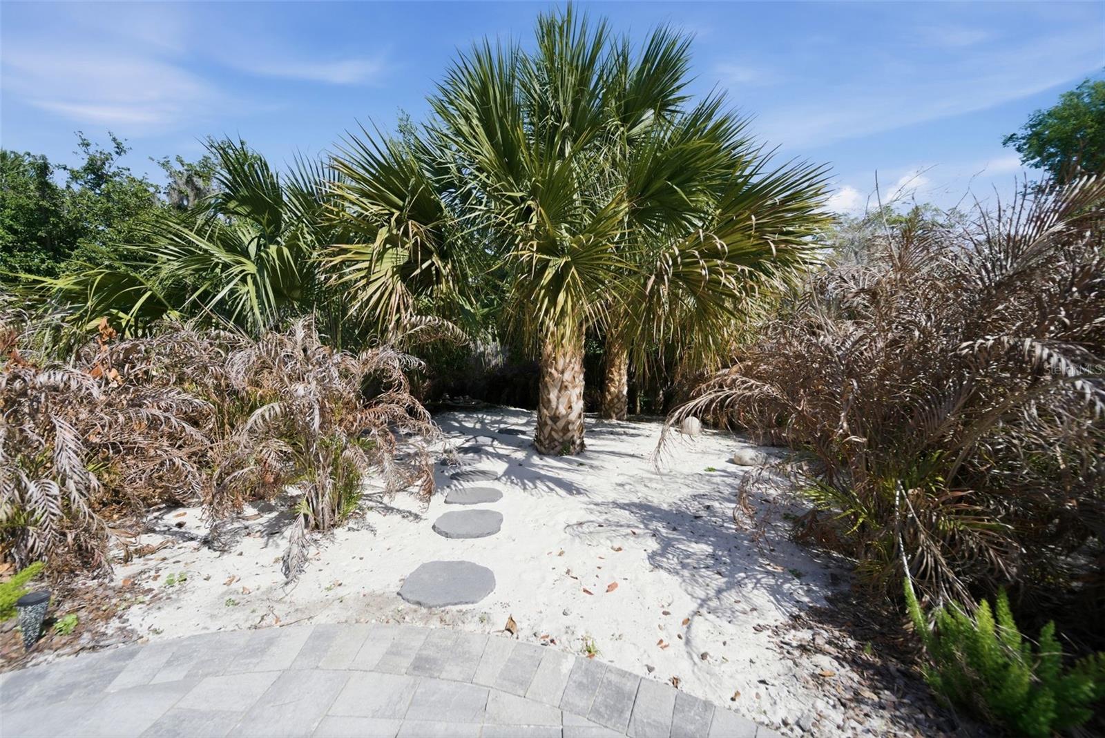 Image 50 of 77 For 113 Sandy Oaks Place