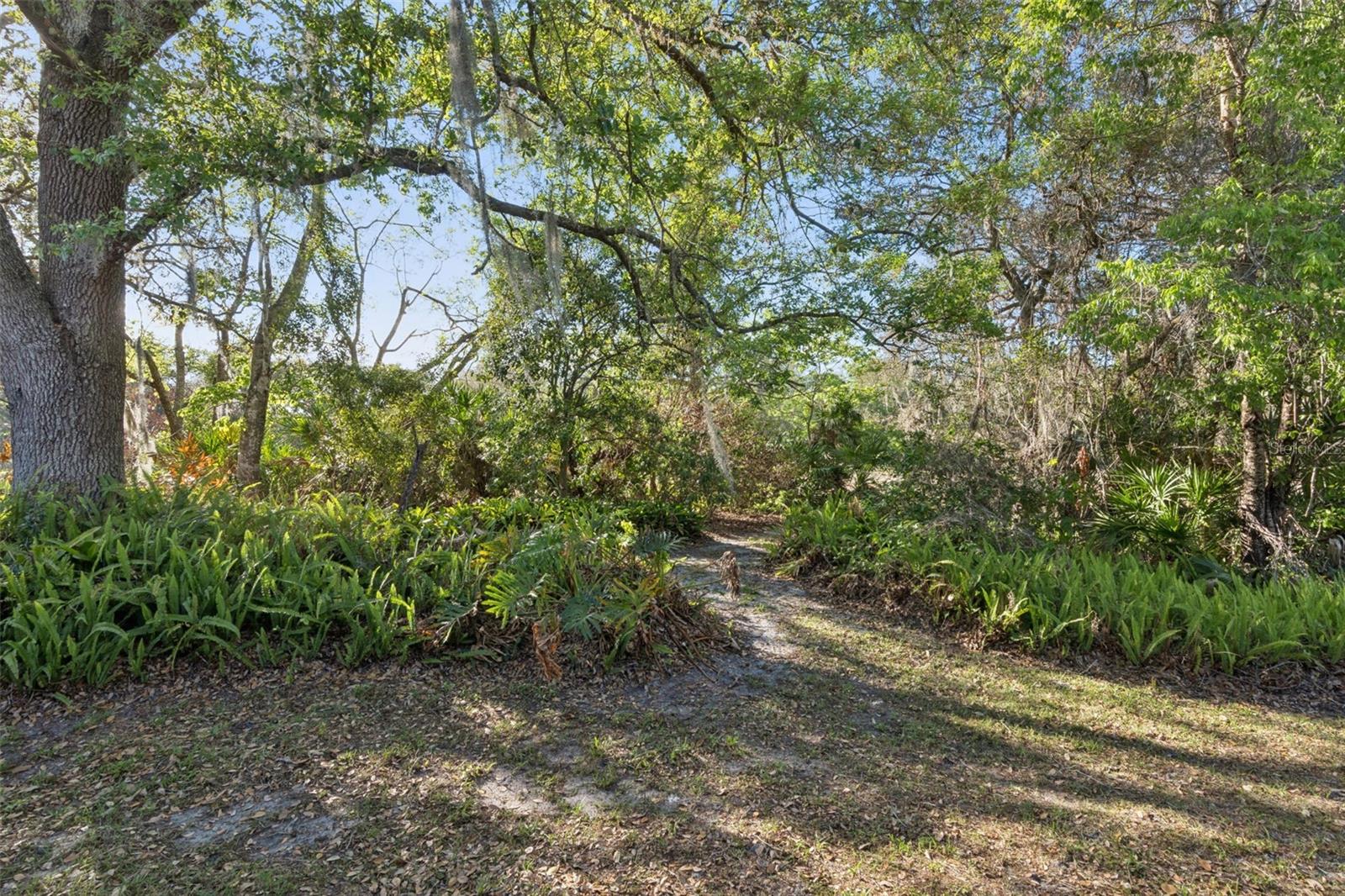 Image 27 of 32 For 502 Club Dr