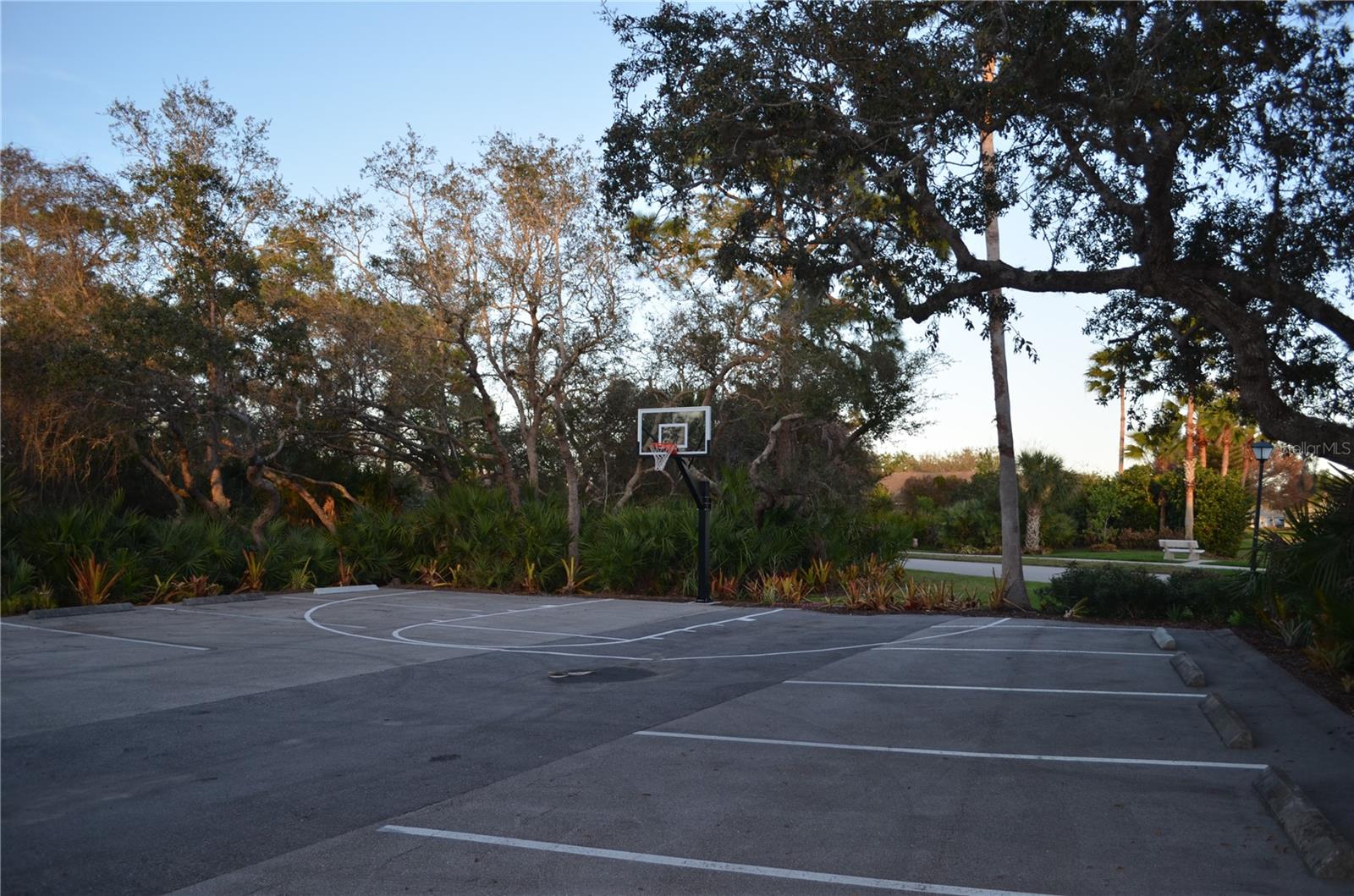 Image 26 of 27 For 598 Gossamer Wing Way