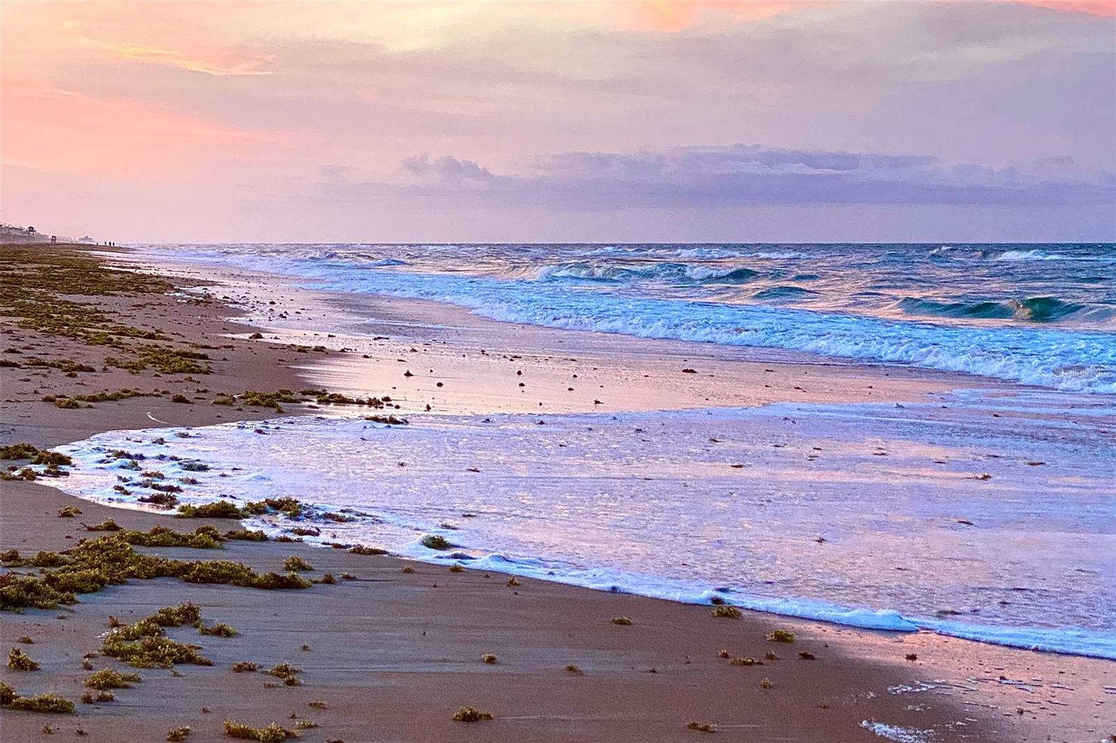 Image 31 of 33 For 103 Sanchez Court