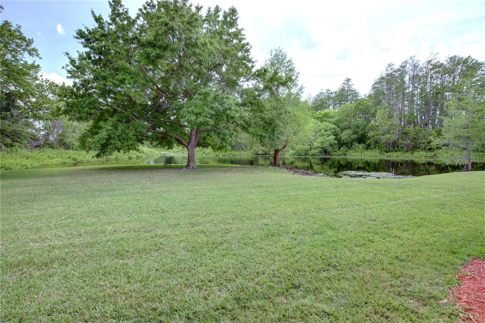 Image 24 of 25 For 4917 Walden Circle