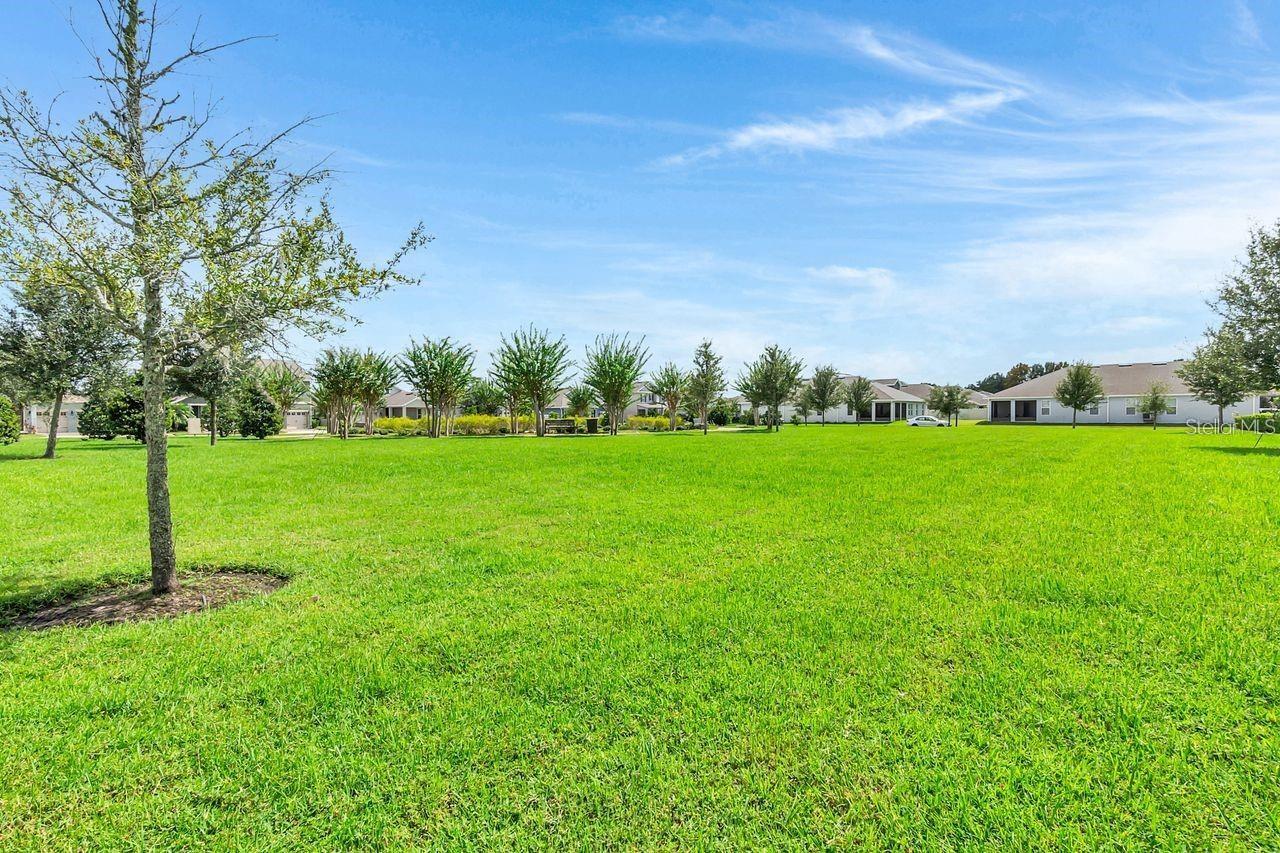 Image 6 of 24 For 1033 Wood Dale Circle