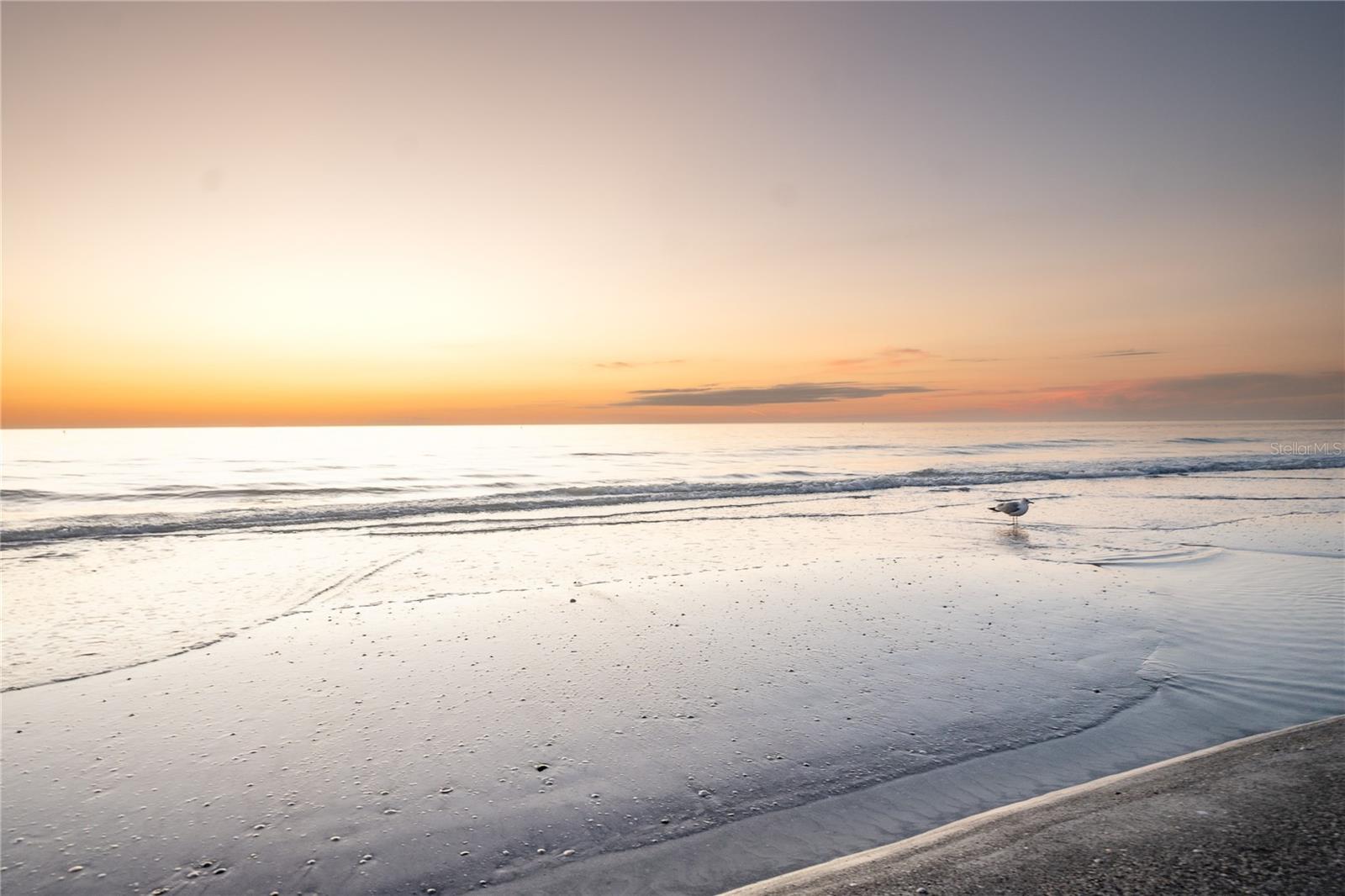 Image 65 of 65 For 130 177th Ter W