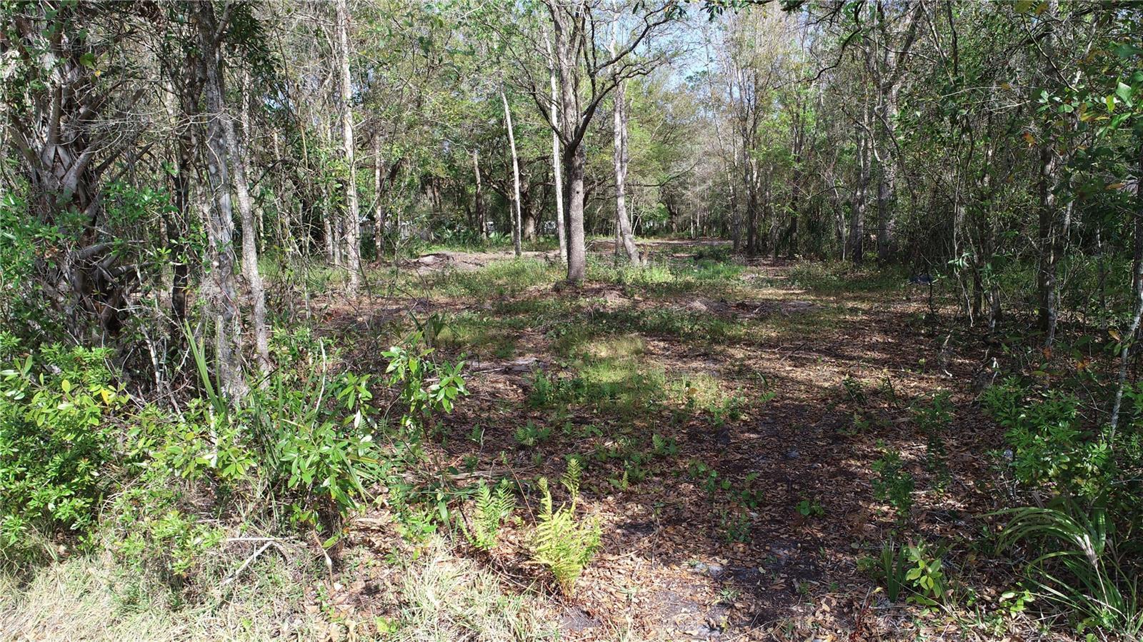 Image 2 of 5 For Cedarhurst Rd