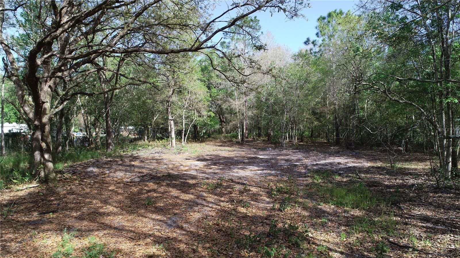 Image 3 of 5 For Cedarhurst Rd