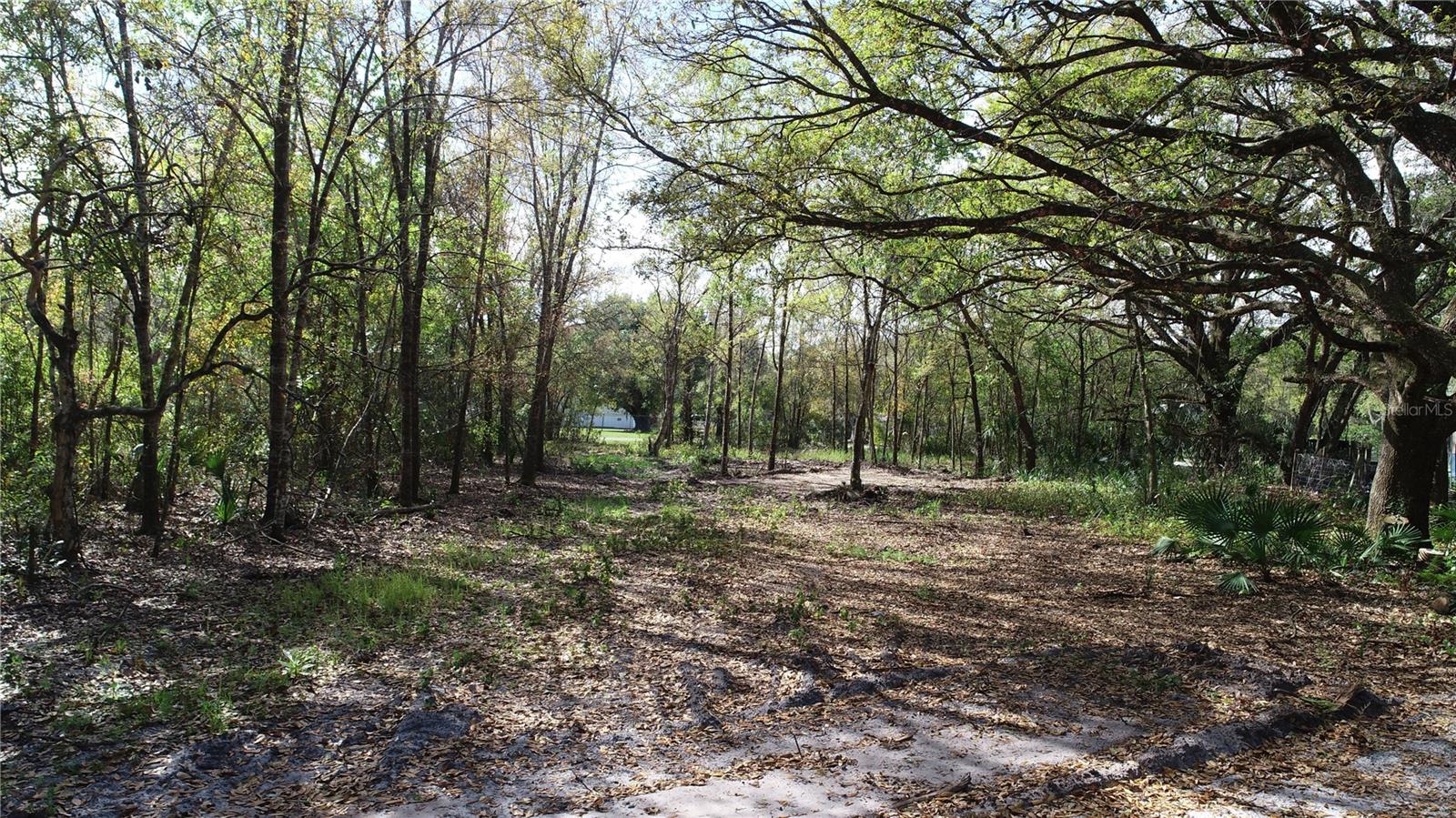 Image 4 of 5 For Cedarhurst Rd