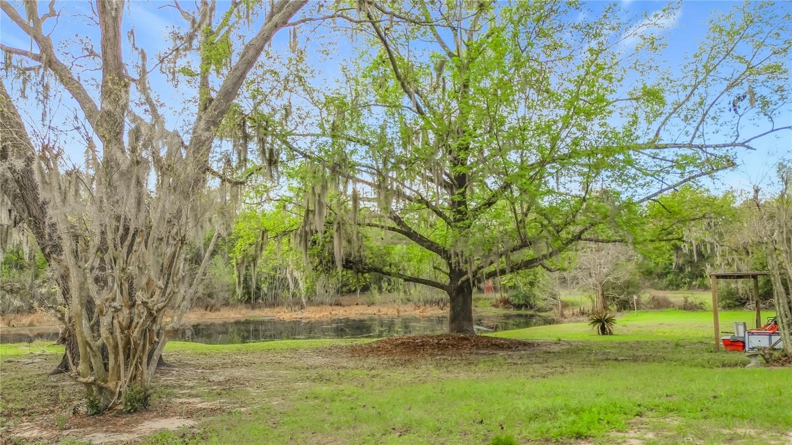 Image 28 of 53 For 1975 Scenic Way