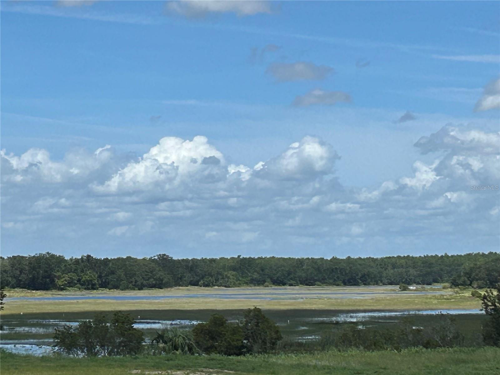 Image 14 of 14 For 24546 Hodges Reserve Avenue