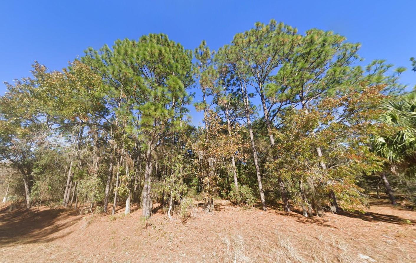 Details for 2284 County Road 243b, WILDWOOD, FL 34785