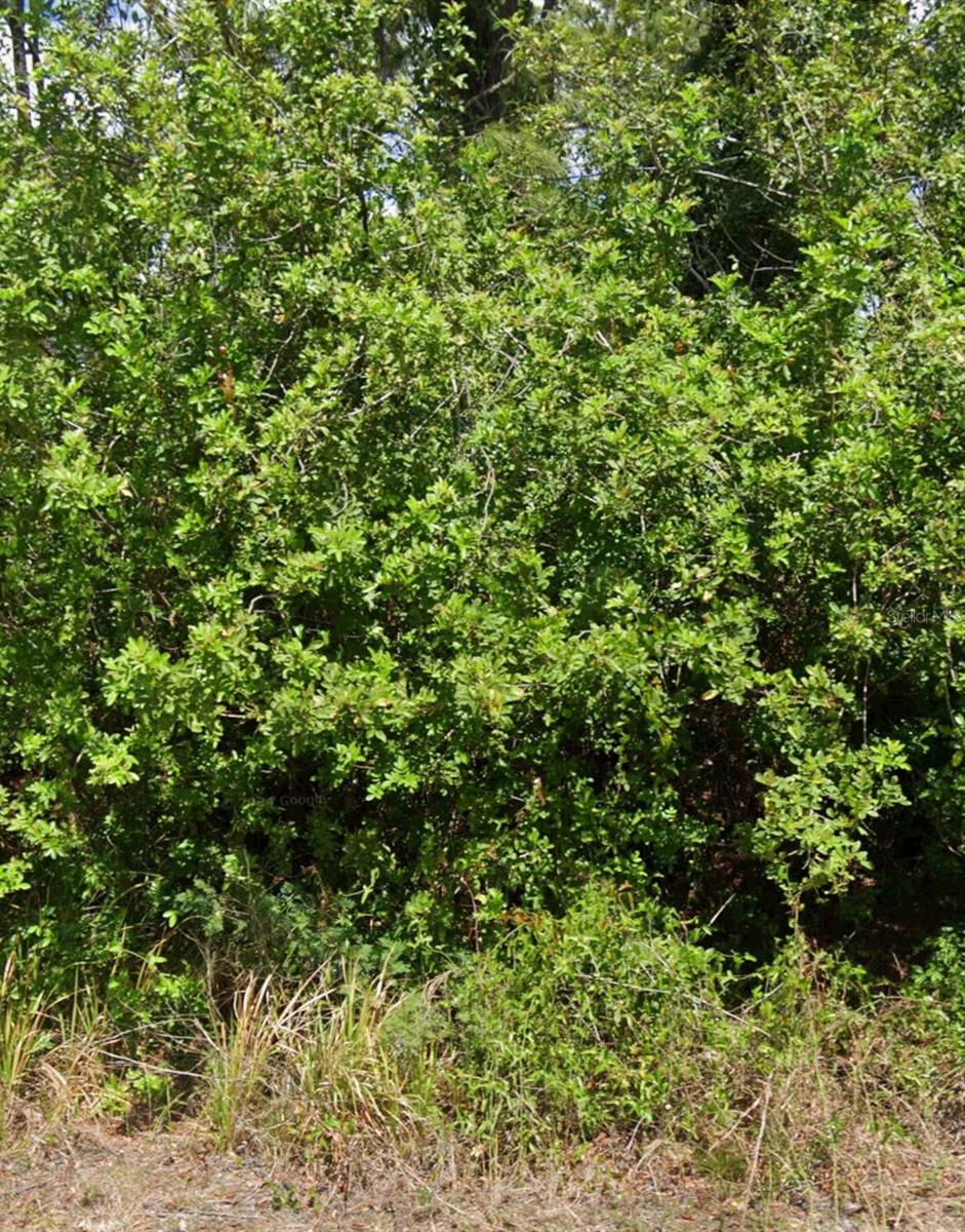 Listing Details for 103 Dakota Street Nw, LAKE PLACID, FL 33852