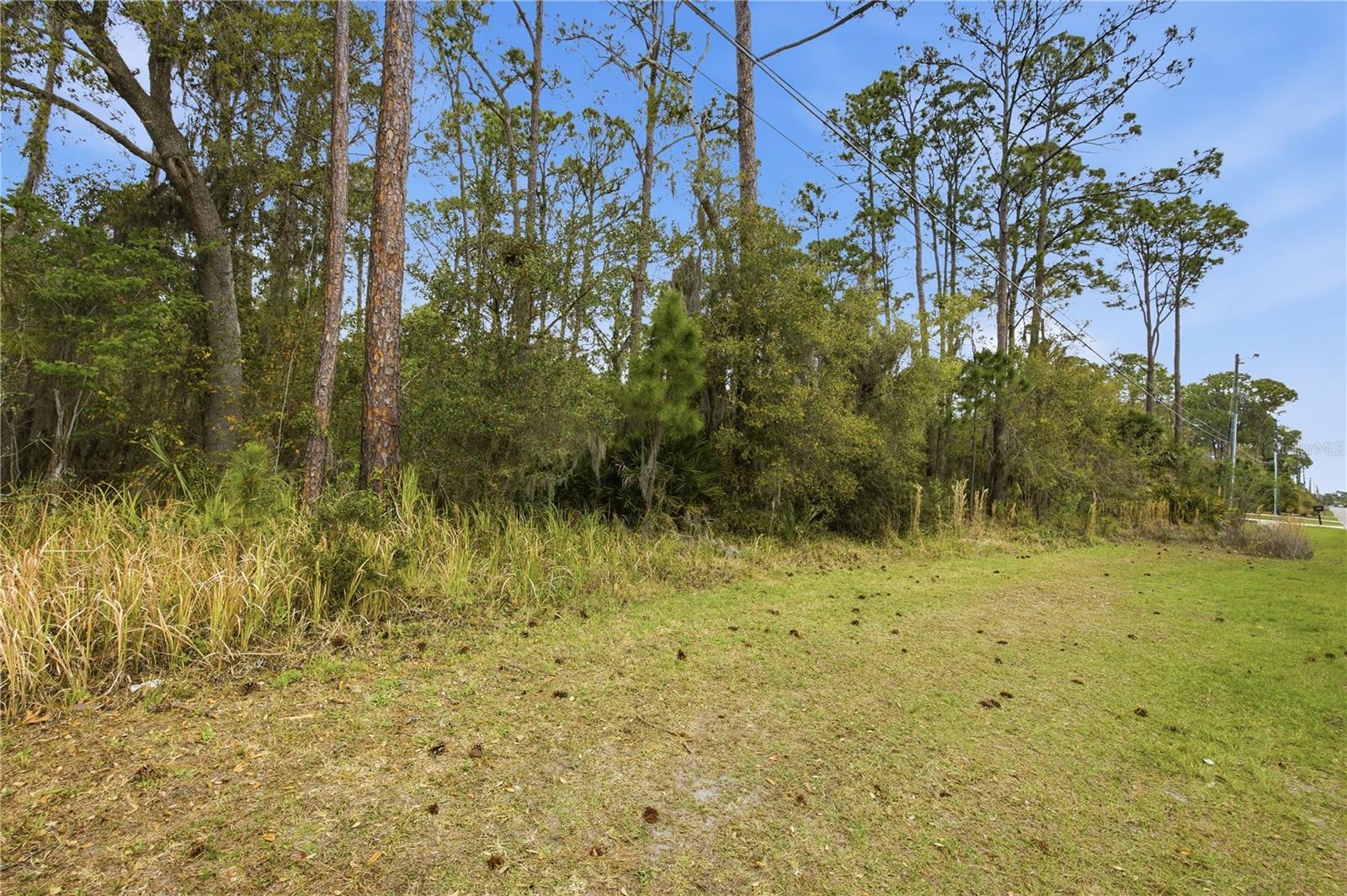 Image 11 of 12 For 446 Fort Florida Road